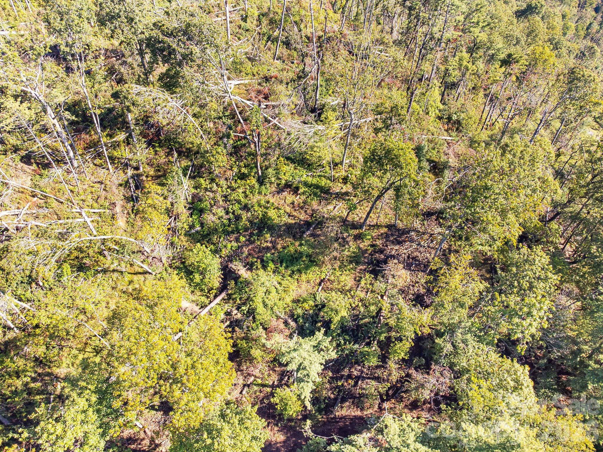 99999 Beaverbrook Road Unit: 2