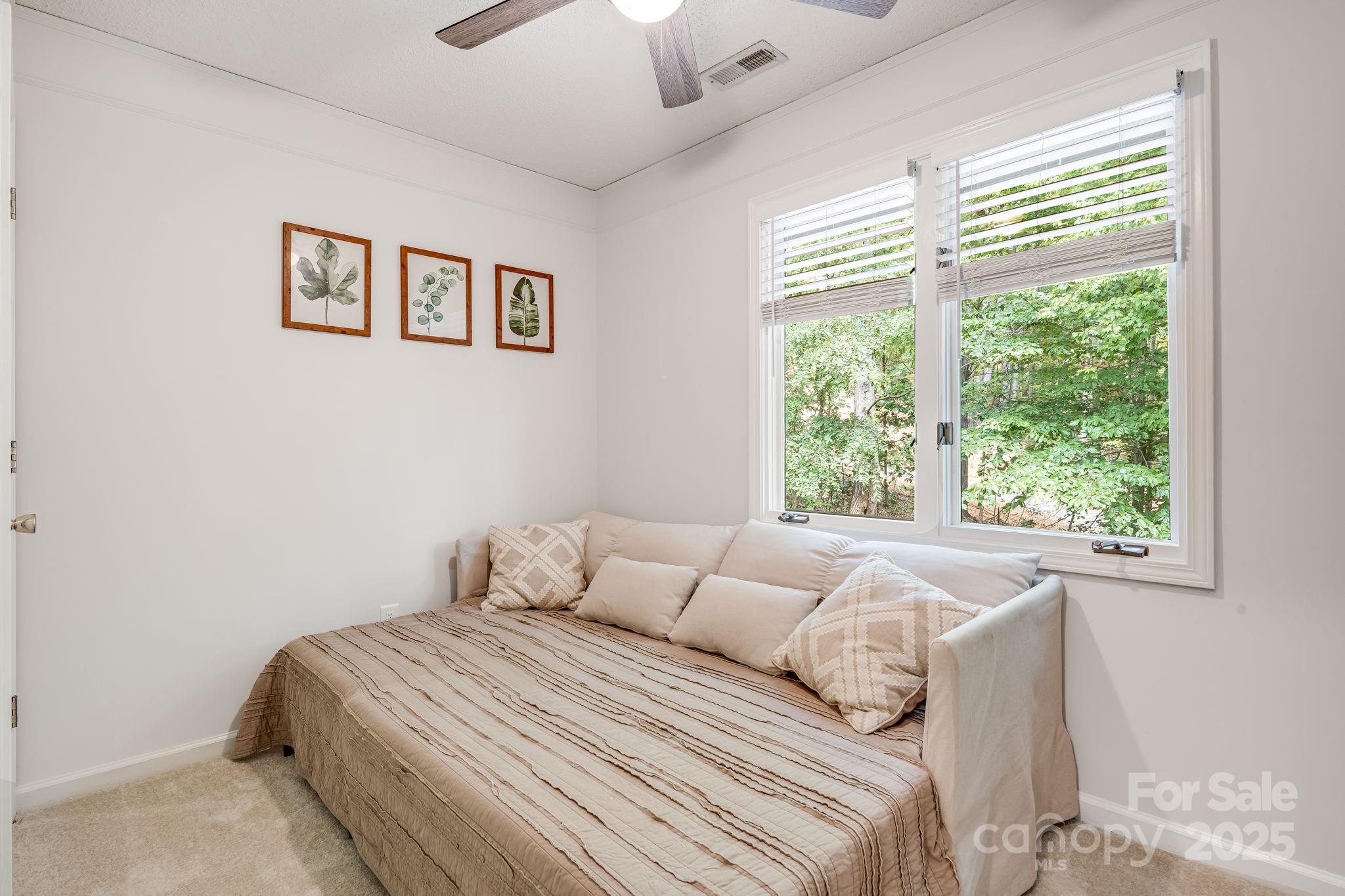 25 Lovebird Lane