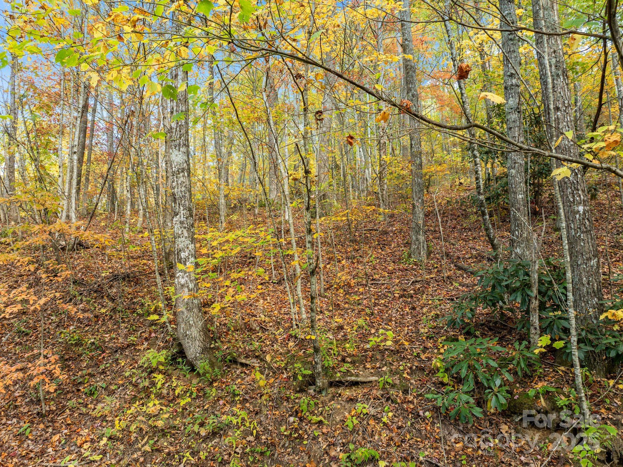 99999 Lytle Cove Road