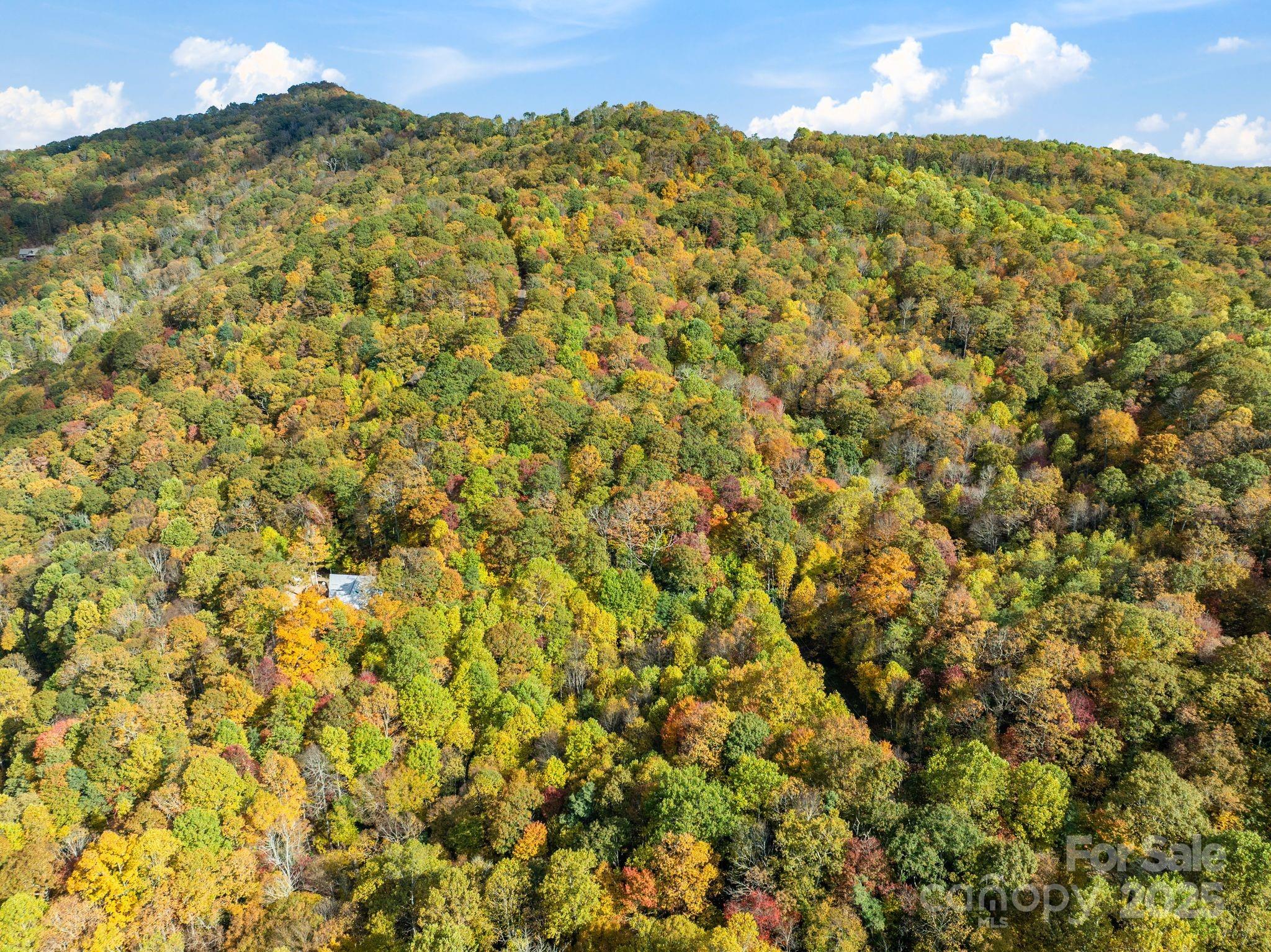 99999 Lytle Cove Road