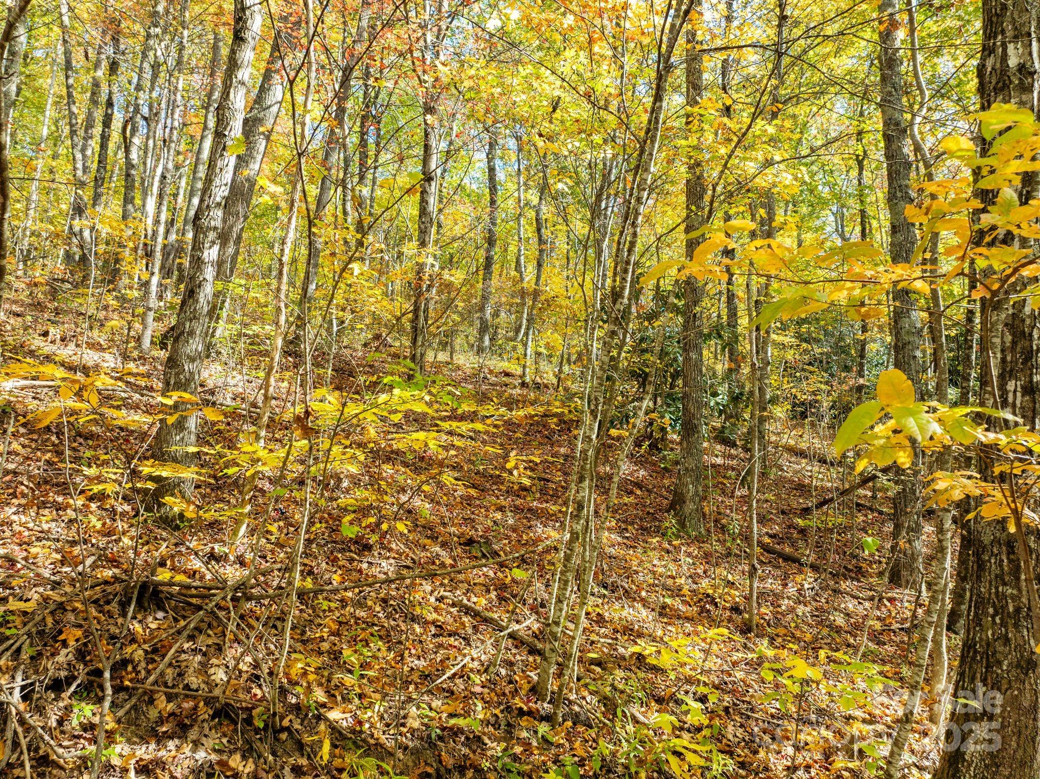 99999 Lytle Cove Road