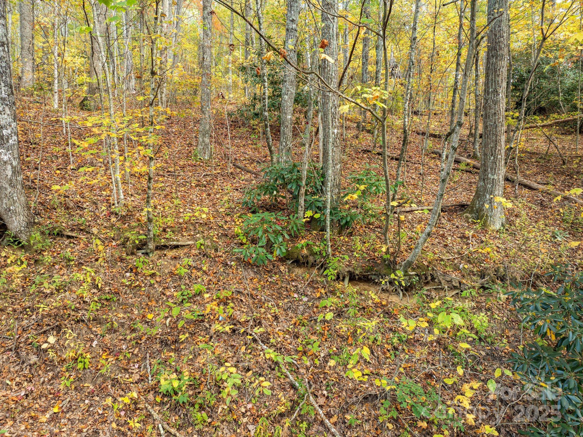 99999 Lytle Cove Road