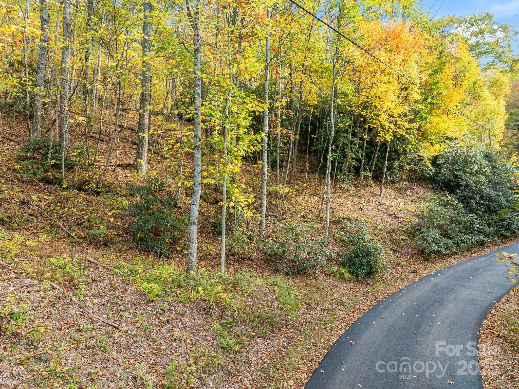 99999 Lytle Cove Road