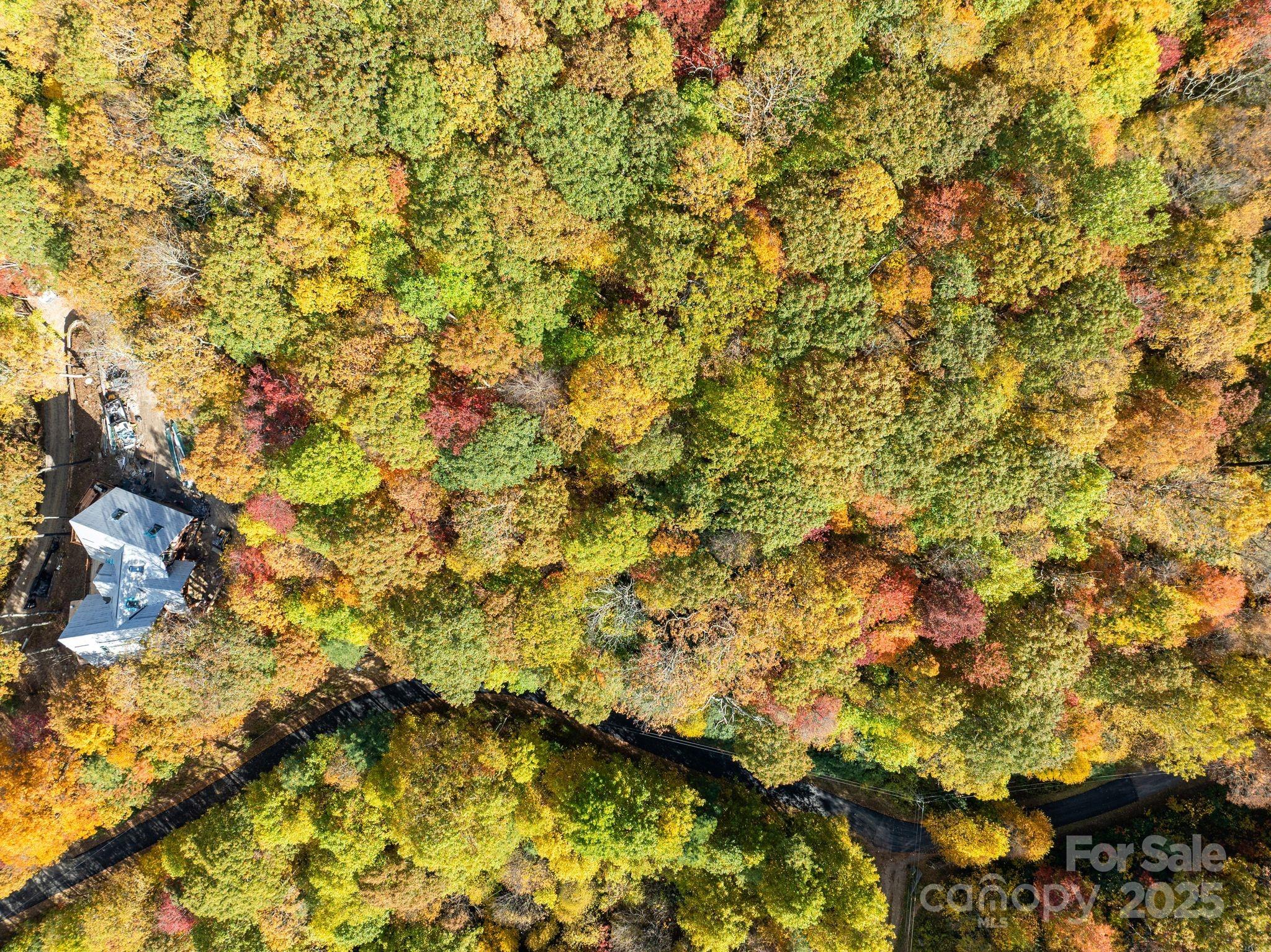 99999 Lytle Cove Road