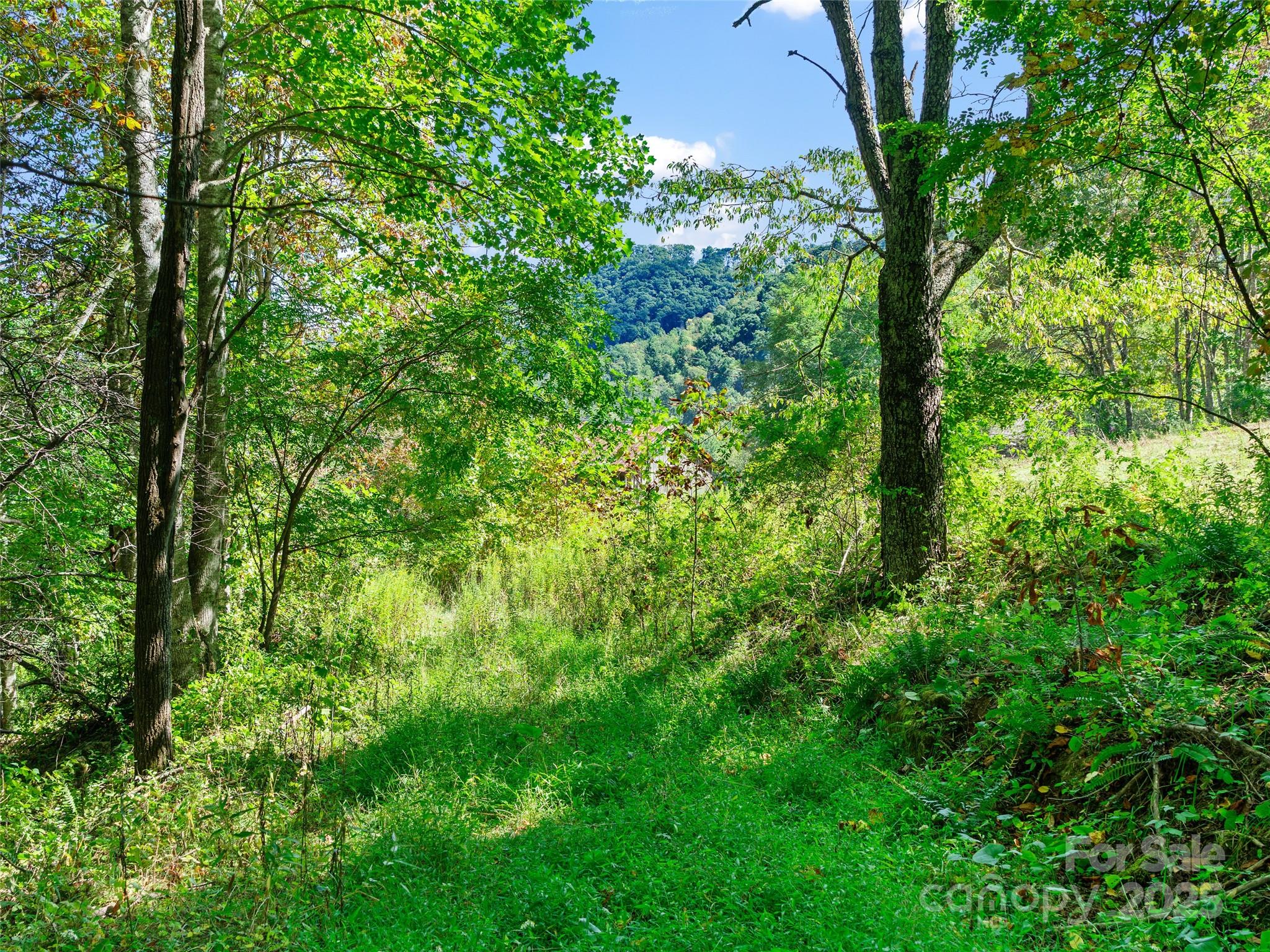 1099 Silas Branch Road