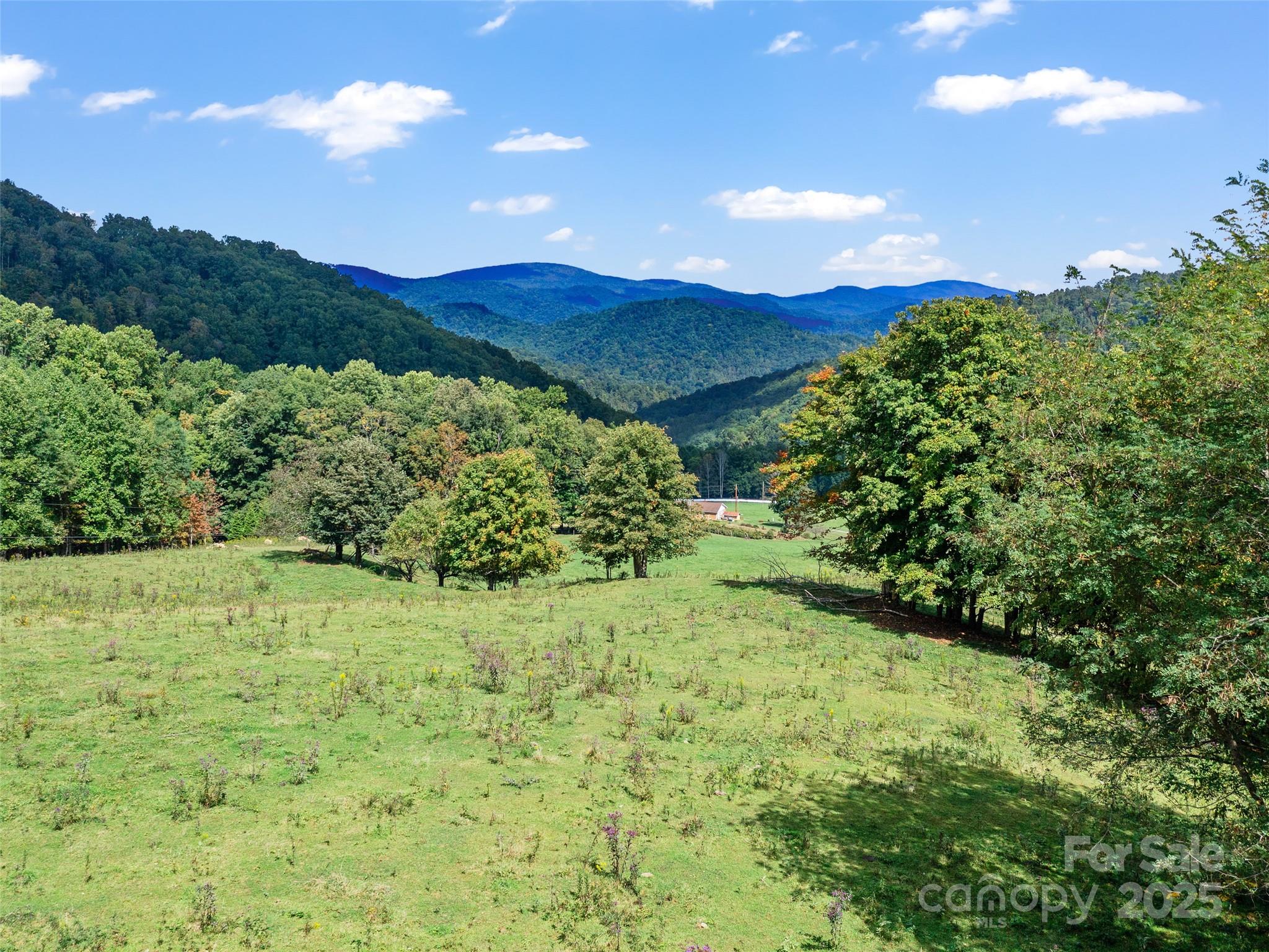 1099 Silas Branch Road