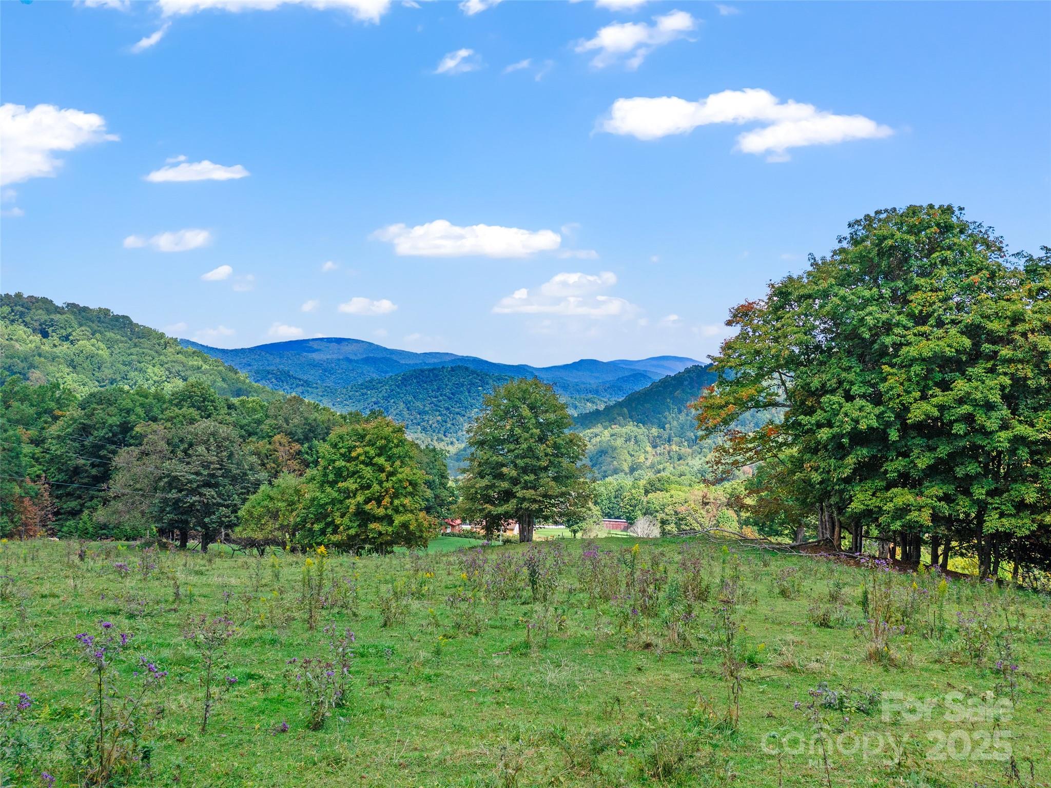 1099 Silas Branch Road