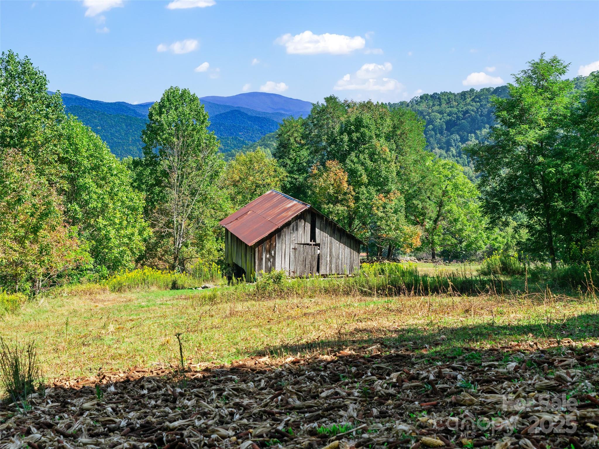 1099 Silas Branch Road