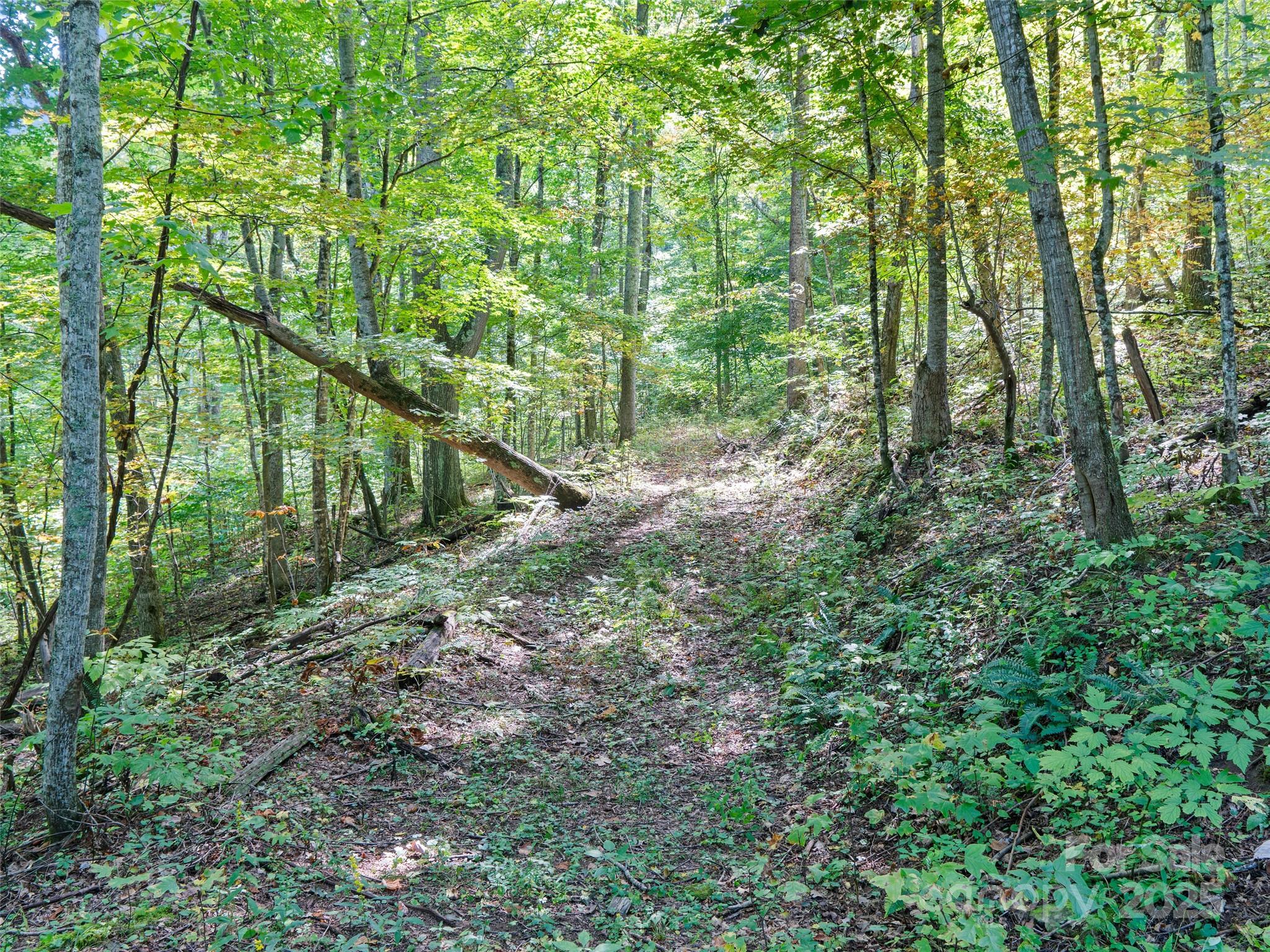 1099 Silas Branch Road