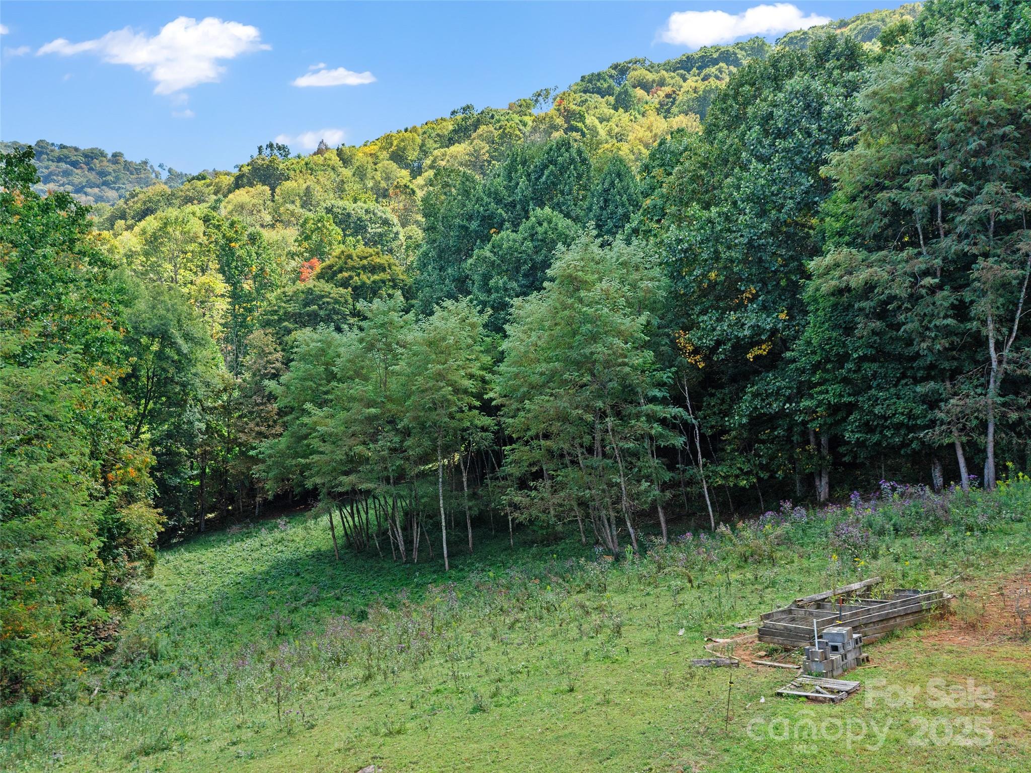 1099 Silas Branch Road