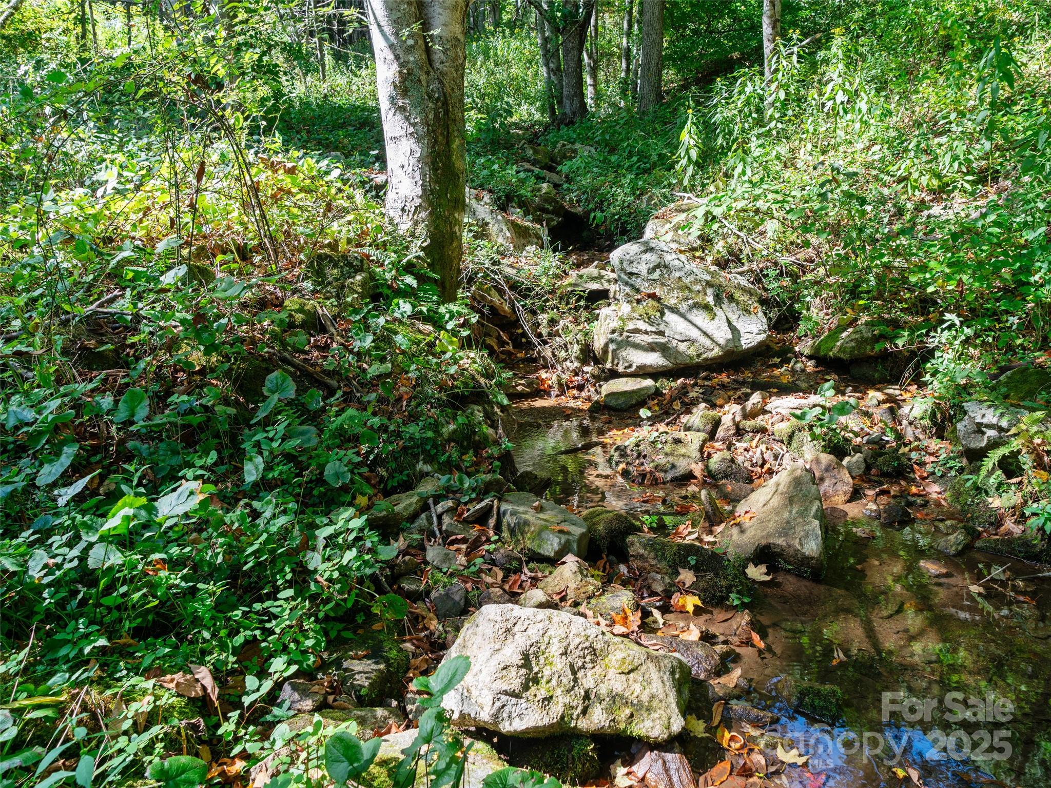 1099 Silas Branch Road