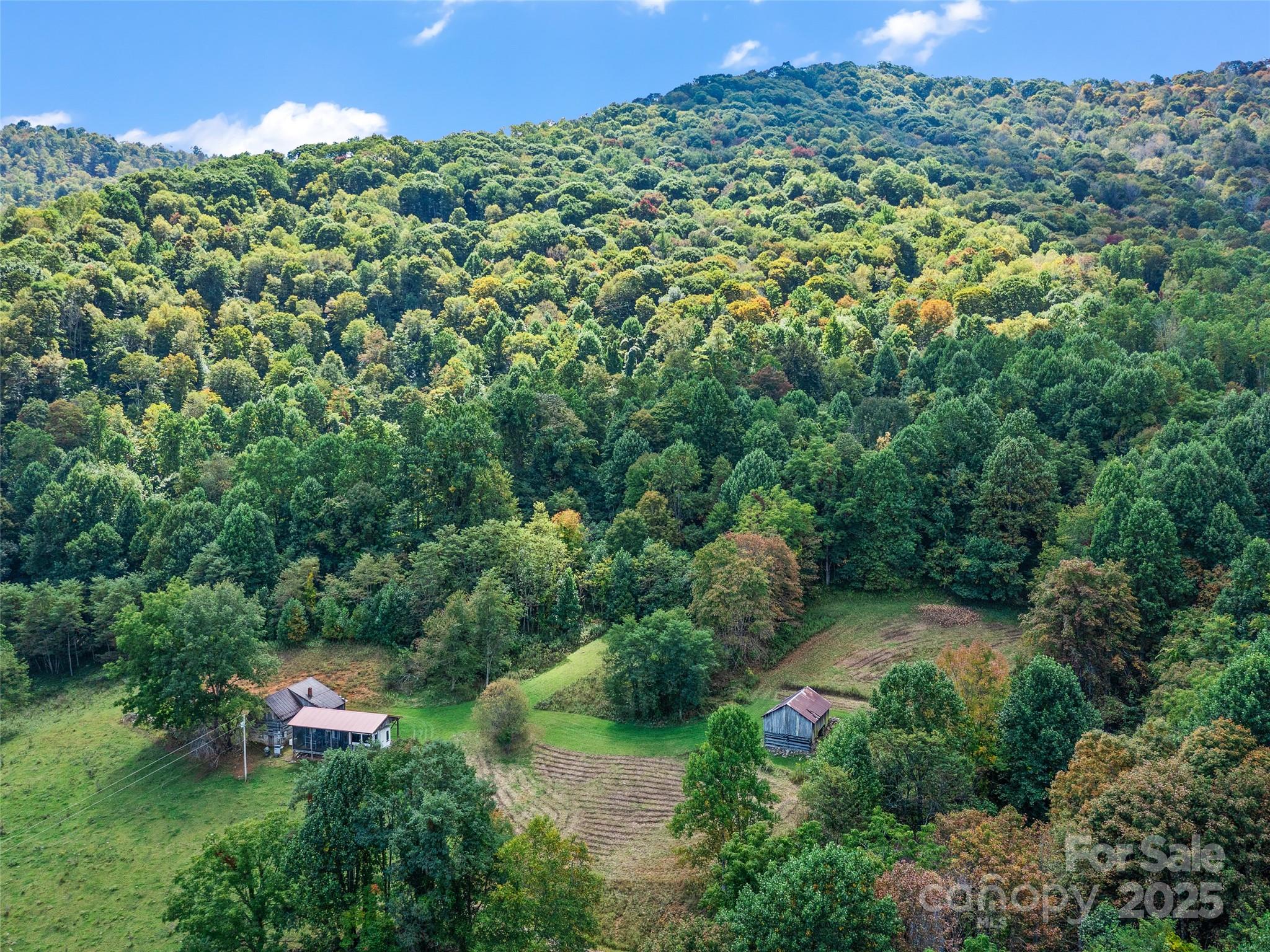 1099 Silas Branch Road