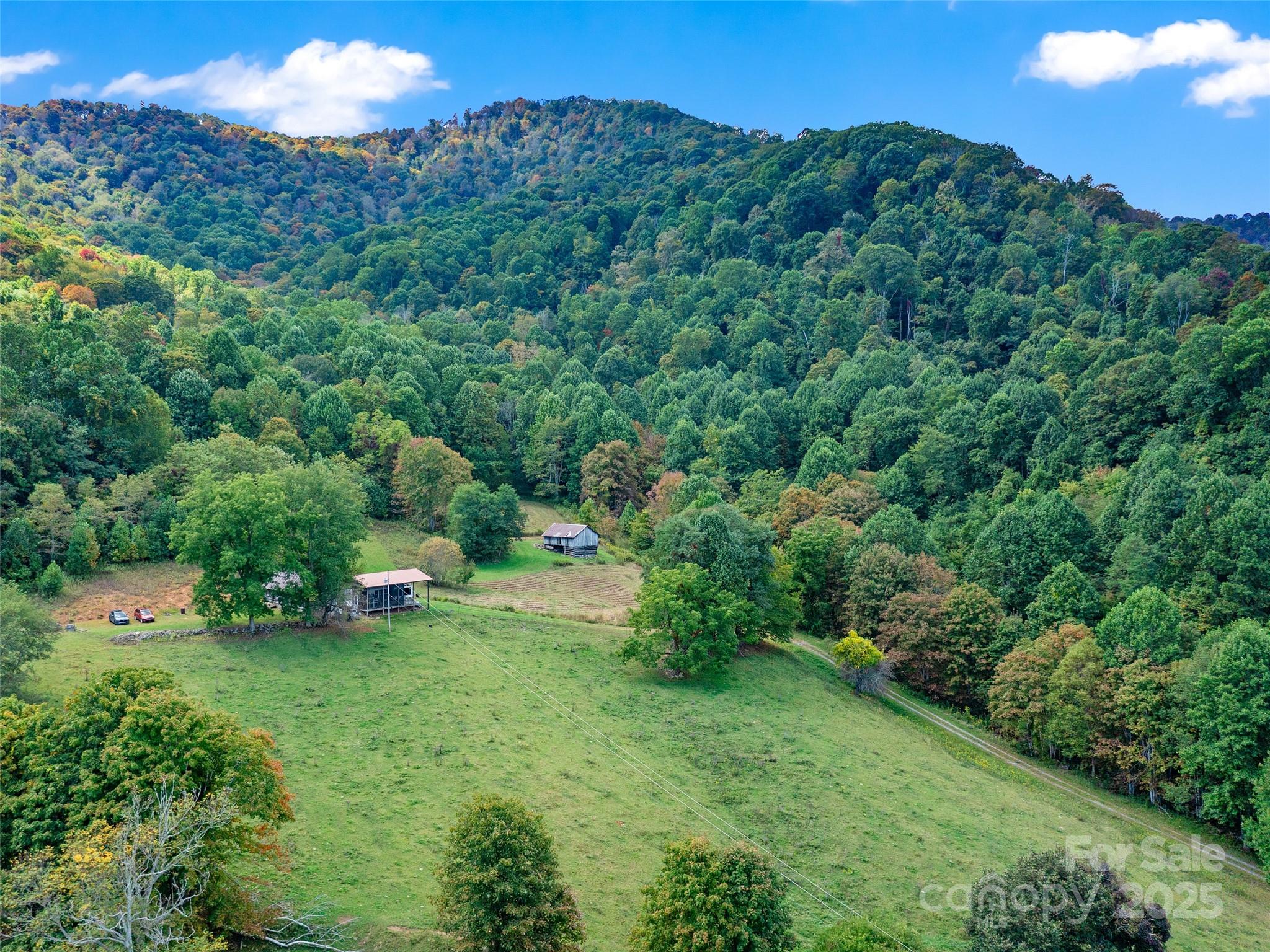 1099 Silas Branch Road