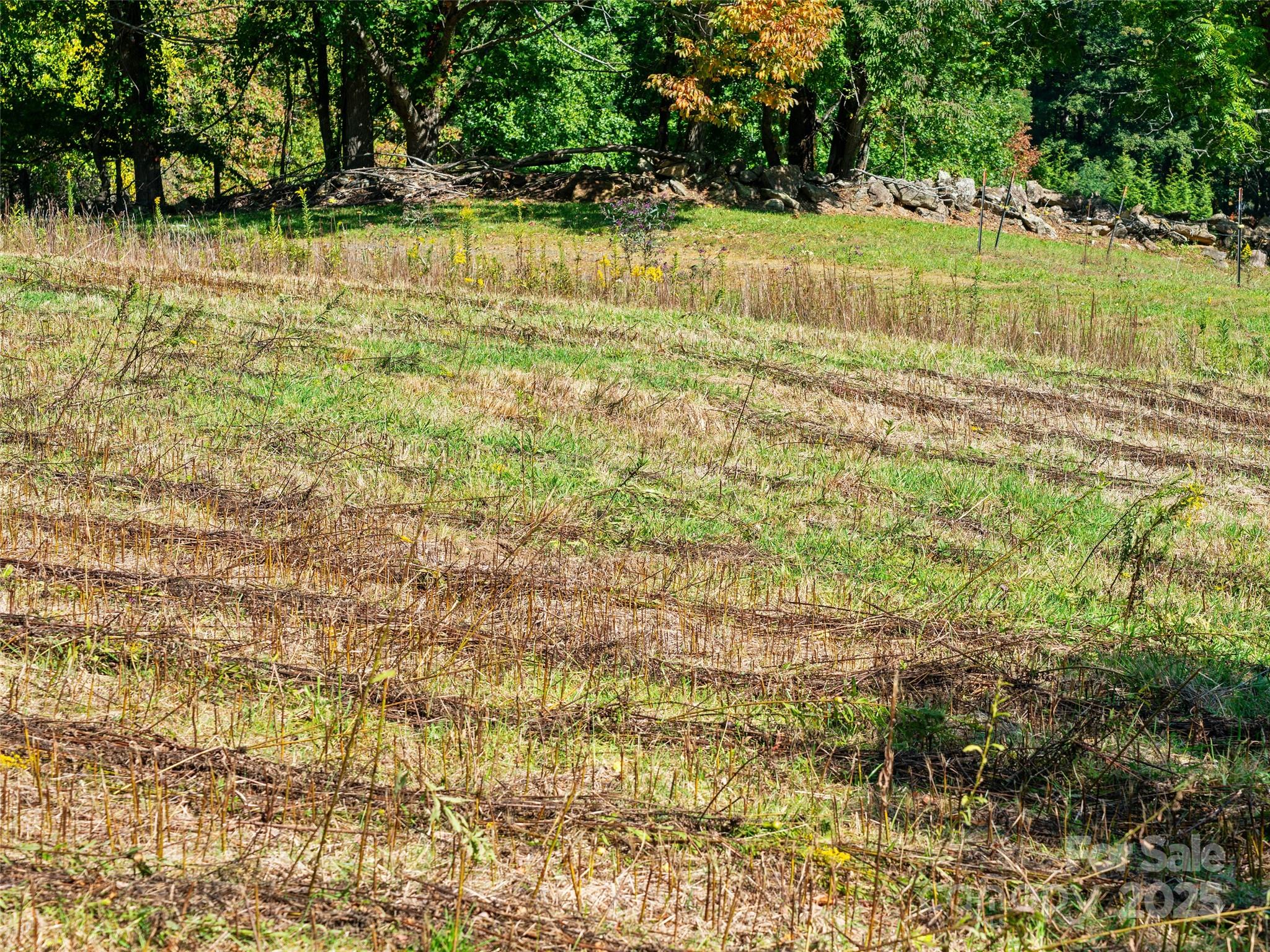 1099 Silas Branch Road
