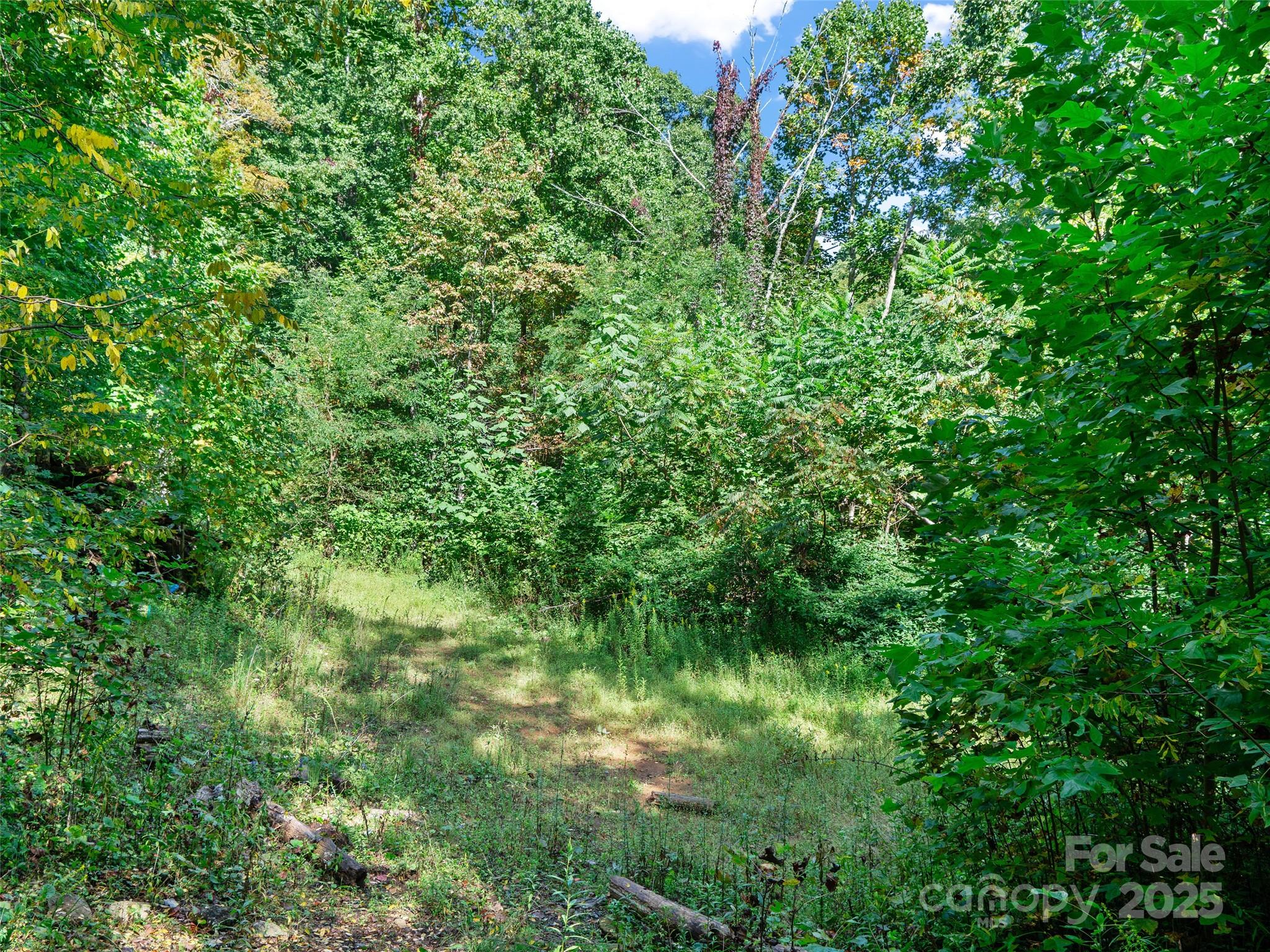 1099 Silas Branch Road