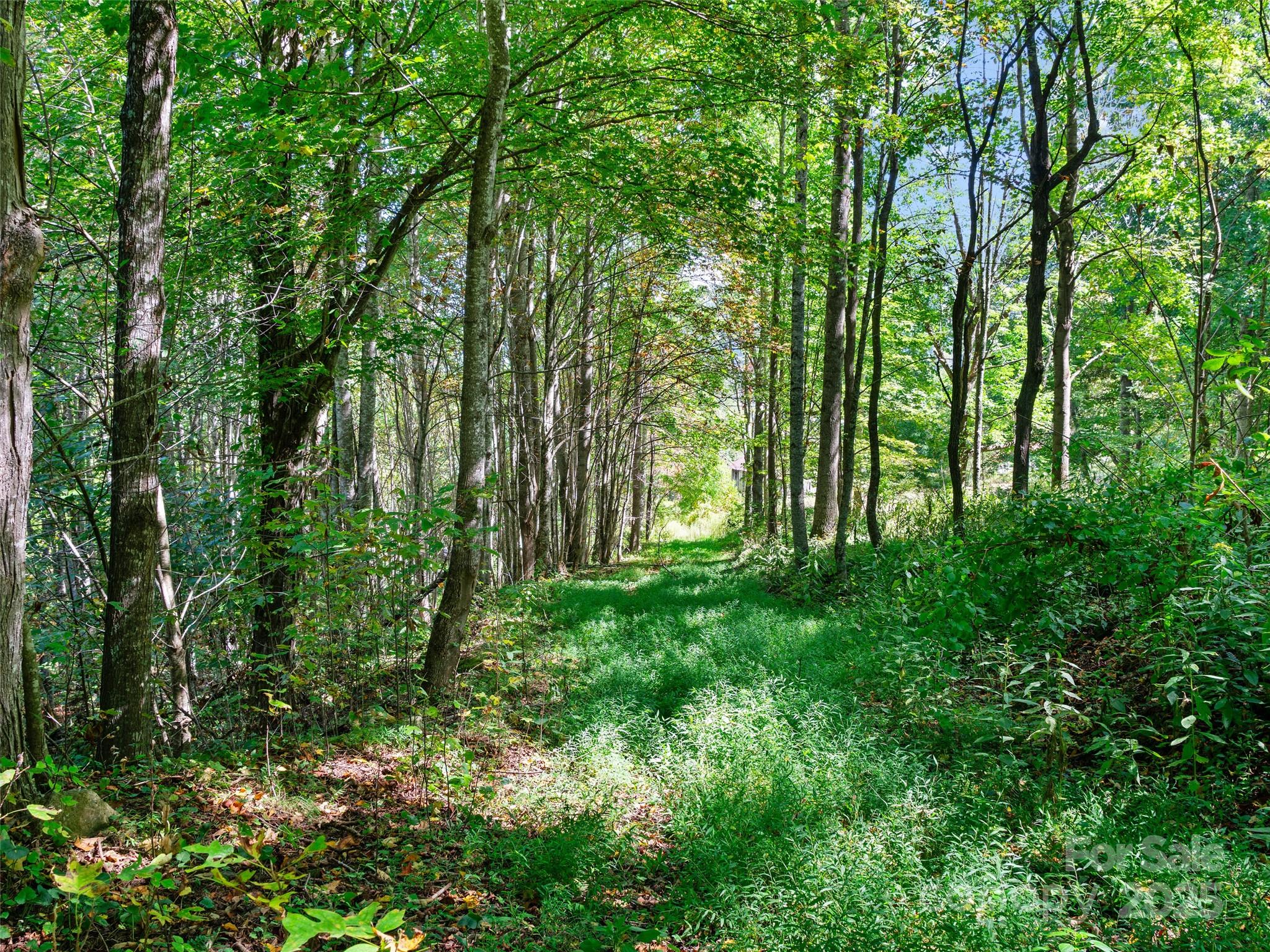1099 Silas Branch Road