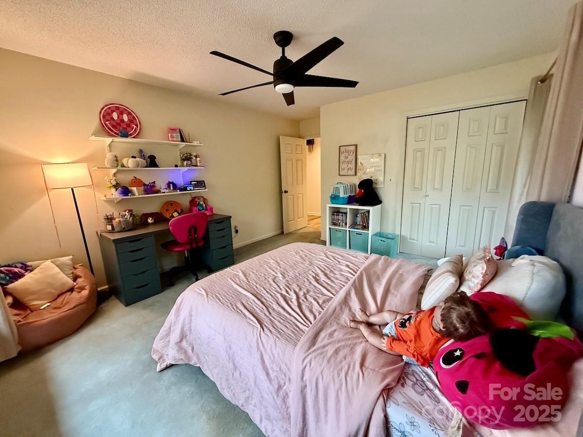 461 Mountain View Drive