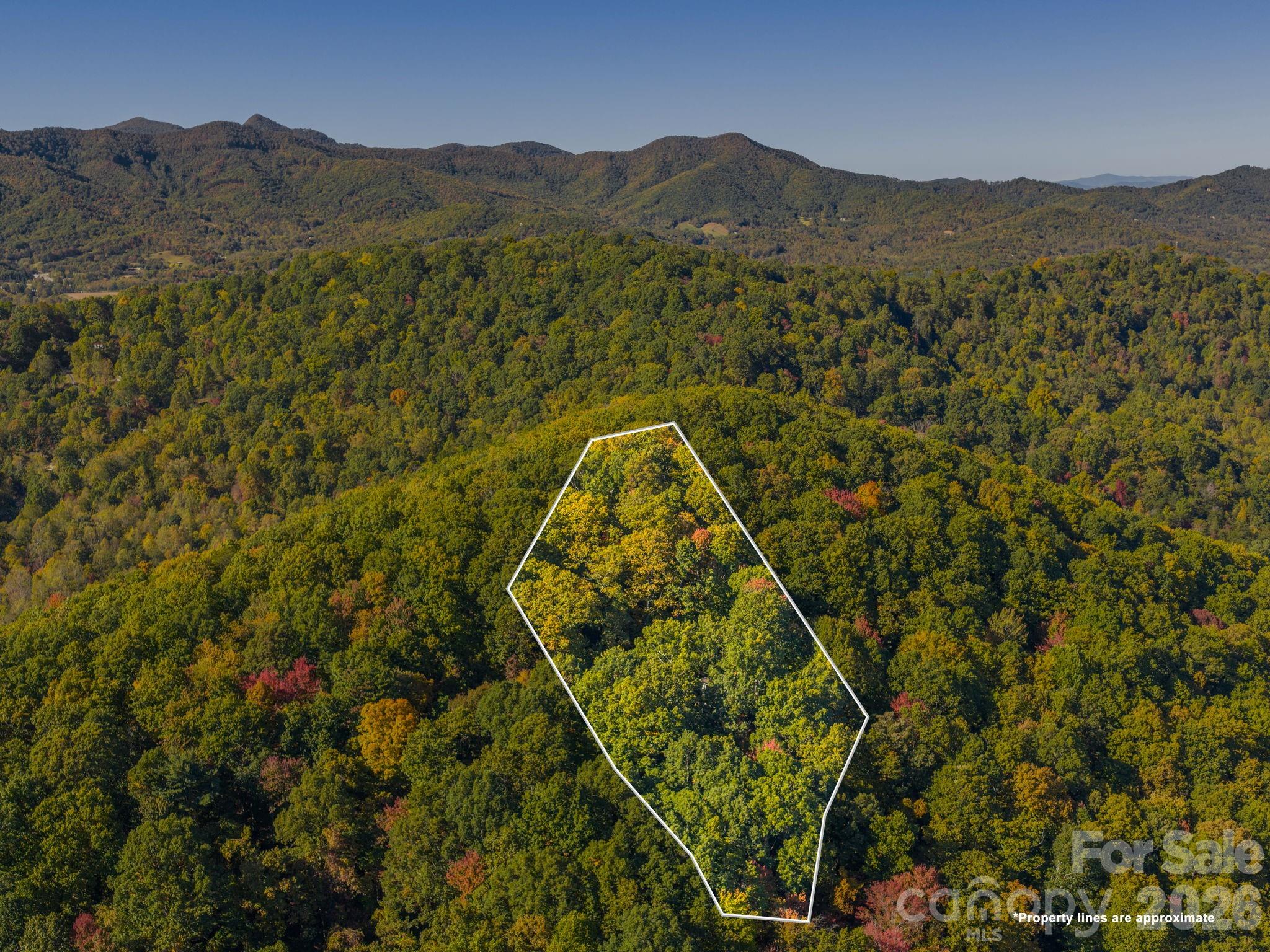 72 Wildflower Mountain Trail