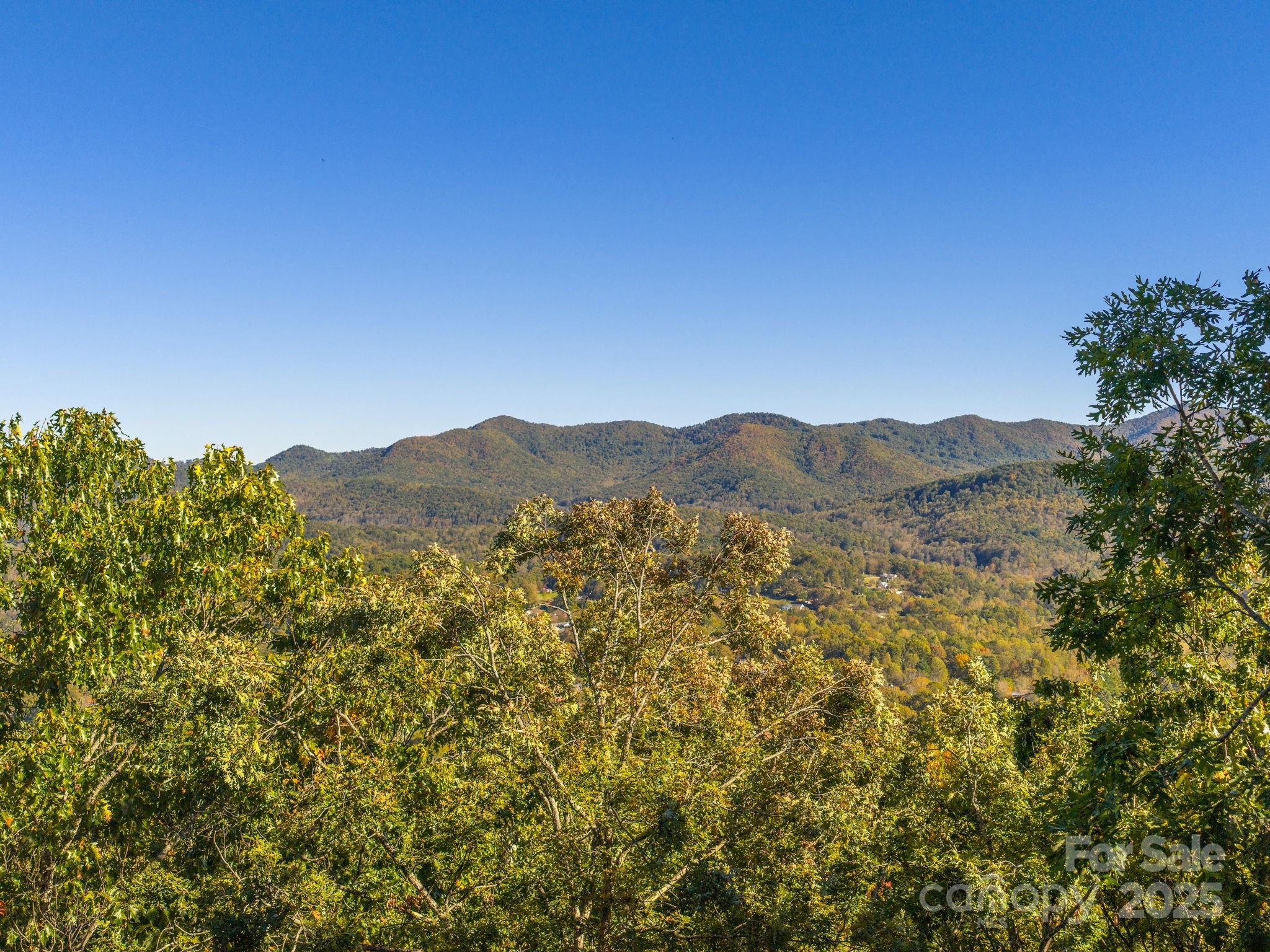 72 Wildflower Mountain Trail