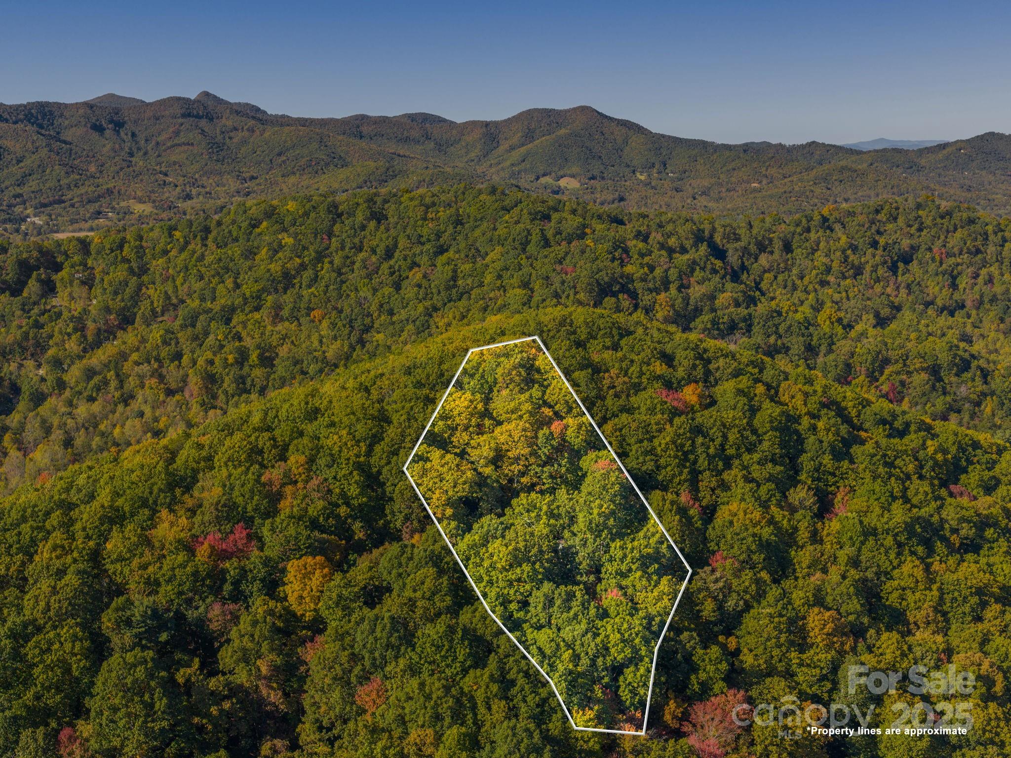 72 Wildflower Mountain Trail