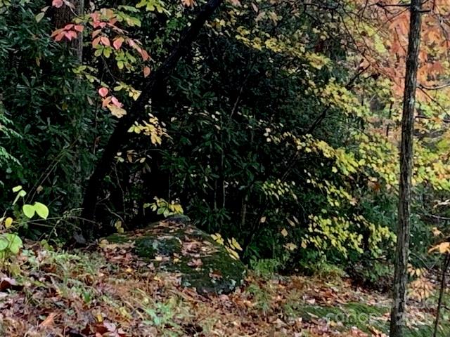 LOT 149 WILLOW Bend Unit: 149