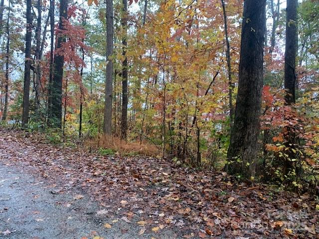 LOT 149 WILLOW Bend Unit: 149