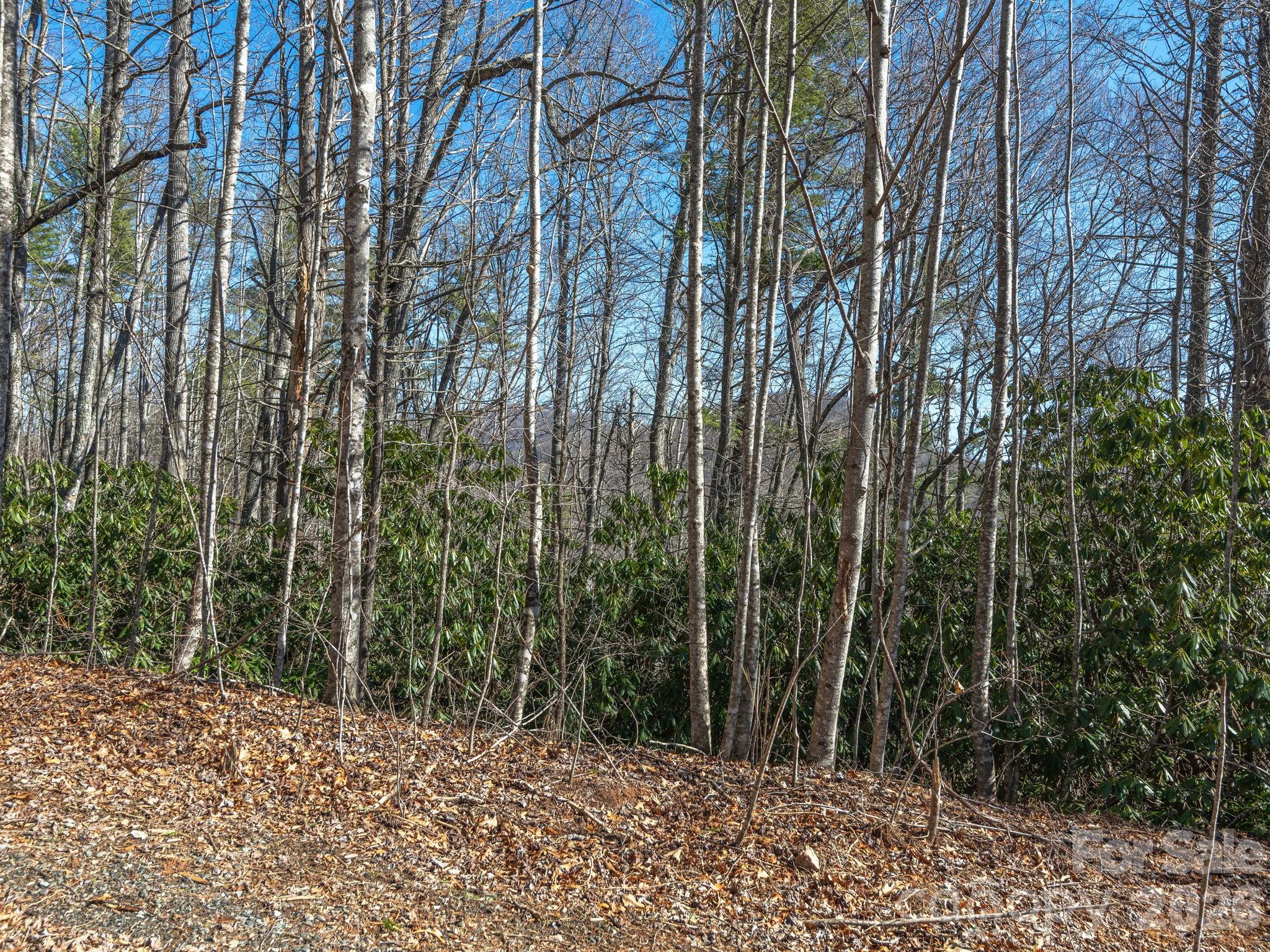 99999 Toe River Lane