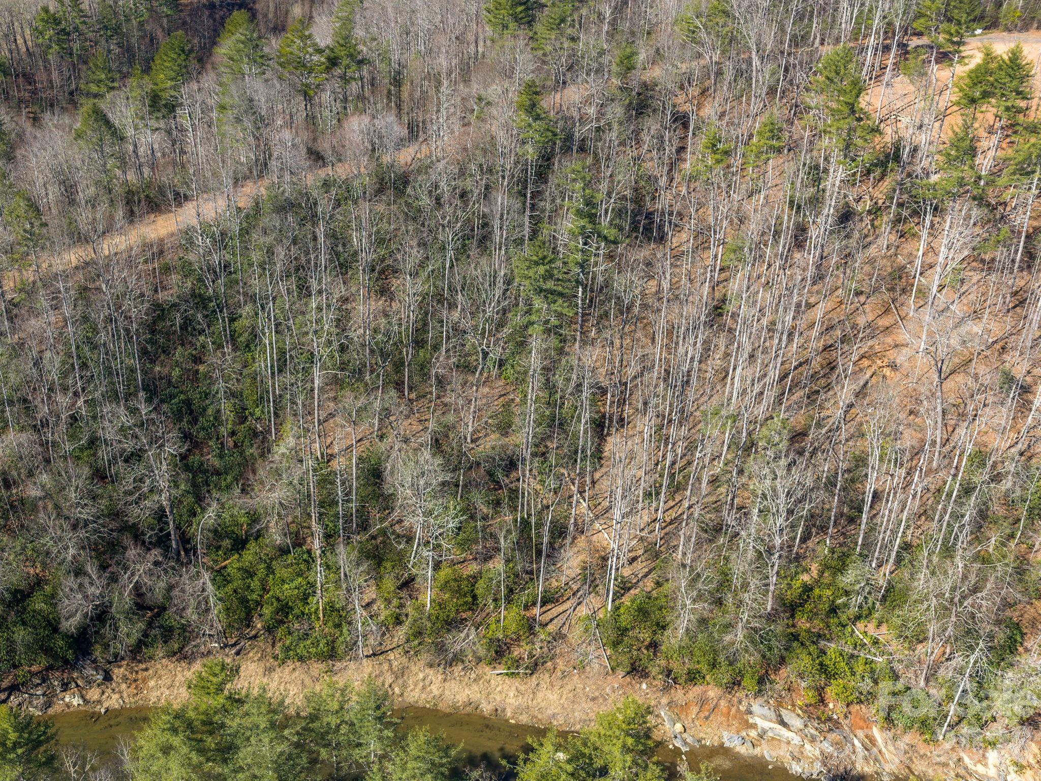 99999 Toe River Lane