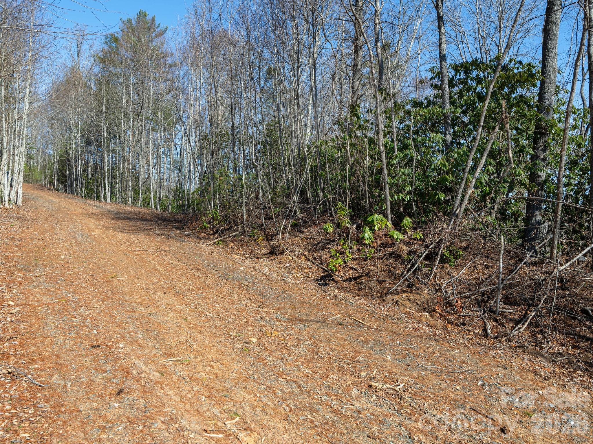 99999 Toe River Lane