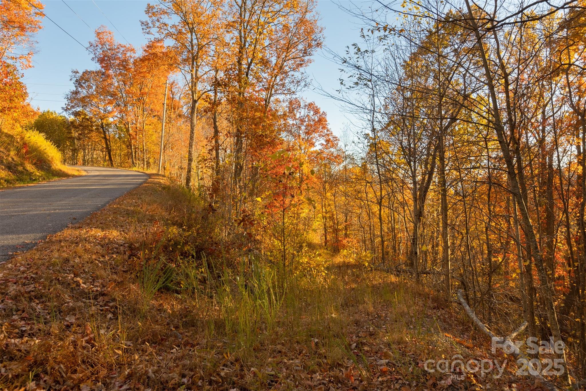 0 Wesley Creek Road Unit: 1 and #2