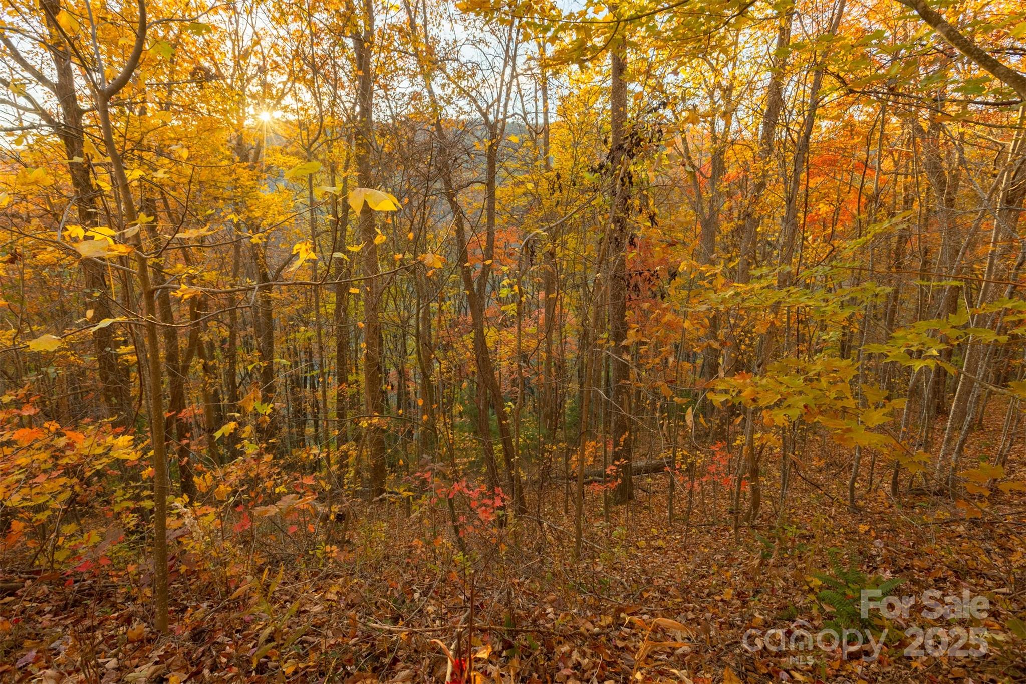 0 Wesley Creek Road Unit: 1 and #2