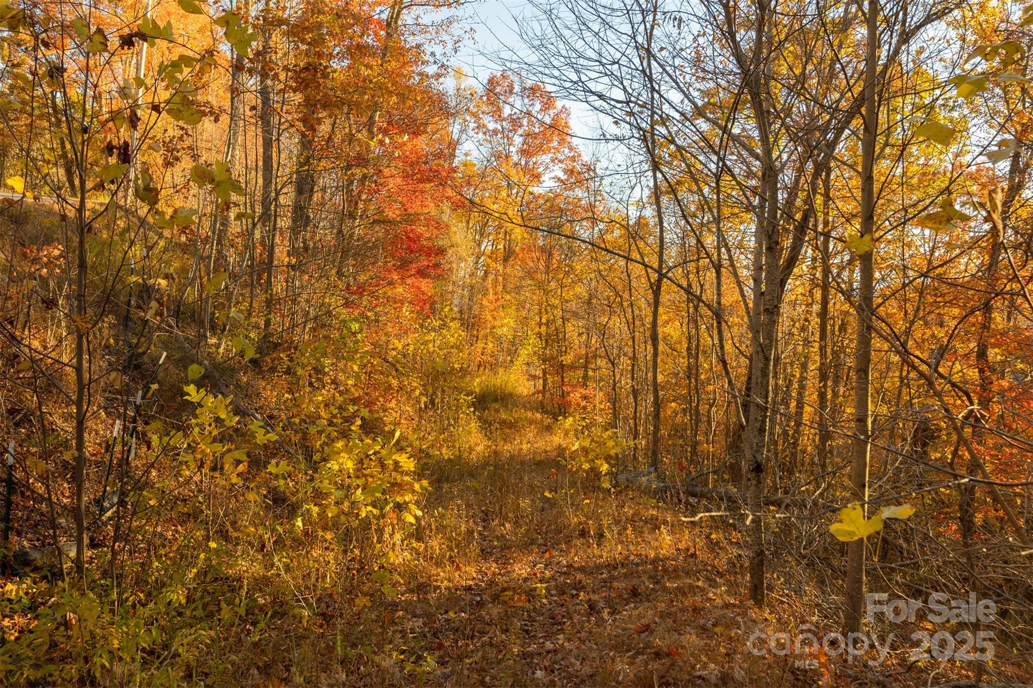 0 Wesley Creek Road Unit: 1 and #2