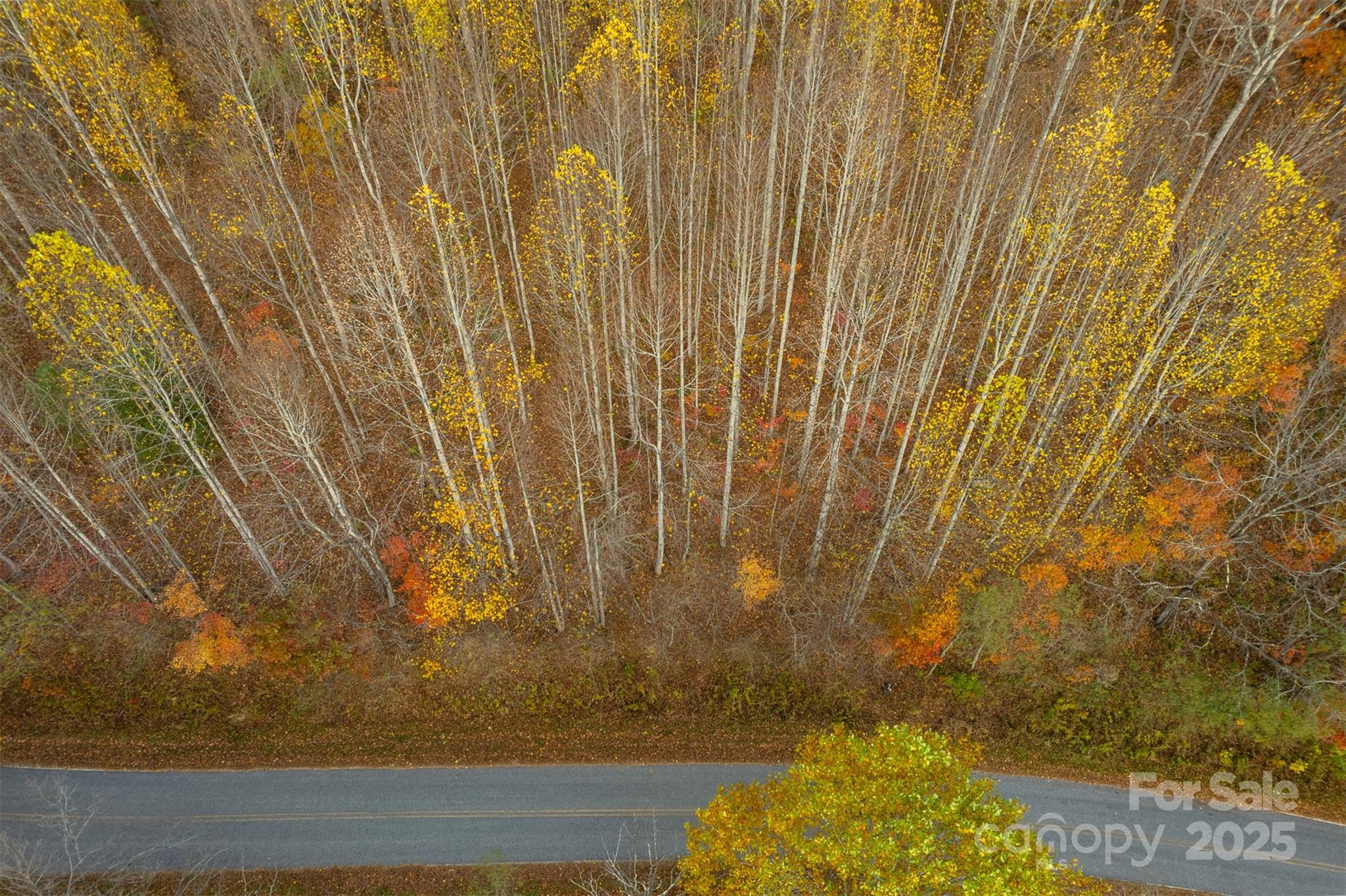 0 Wesley Creek Road Unit: 1 and #2