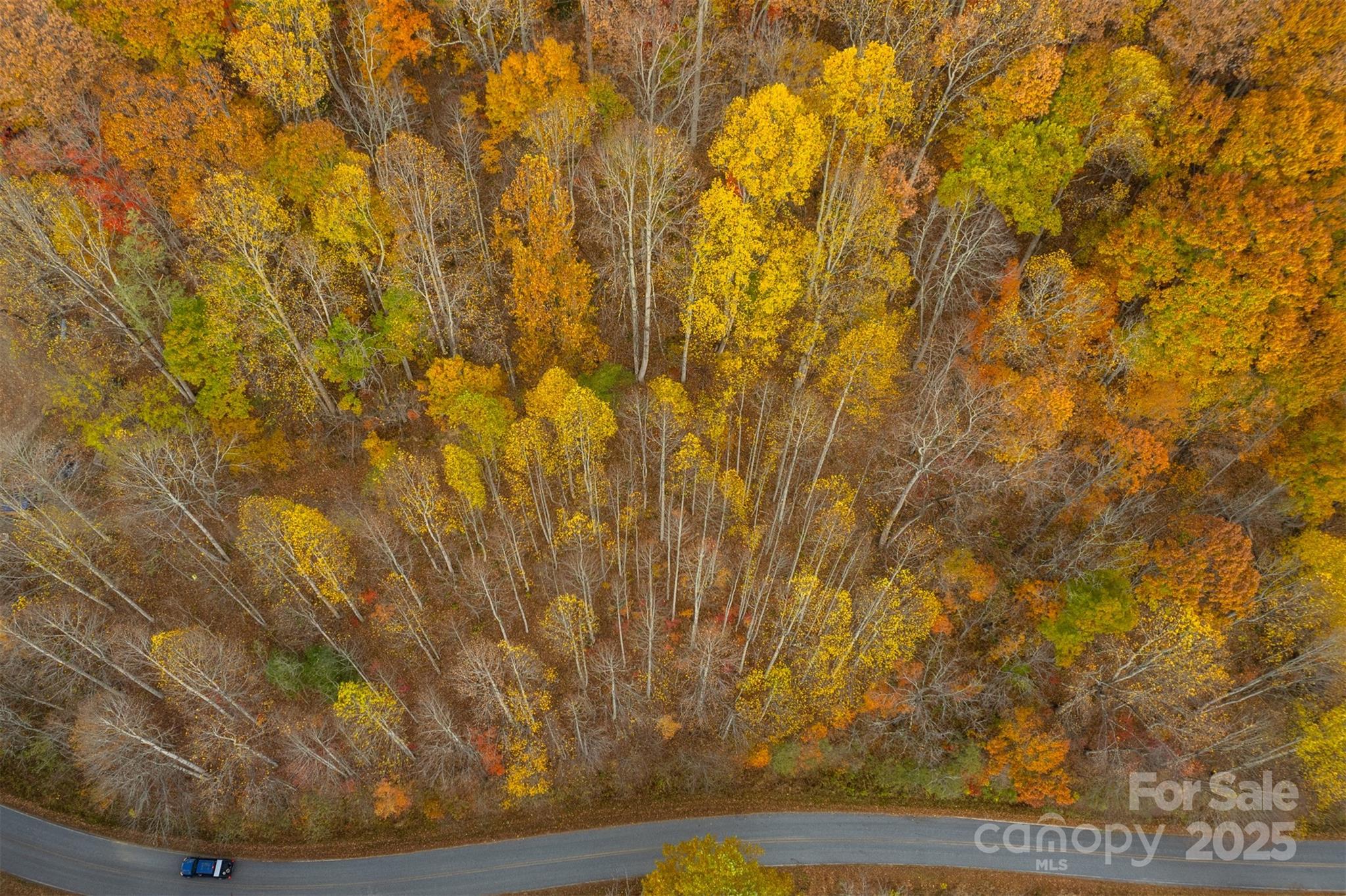 0 Wesley Creek Road Unit: 1 and #2