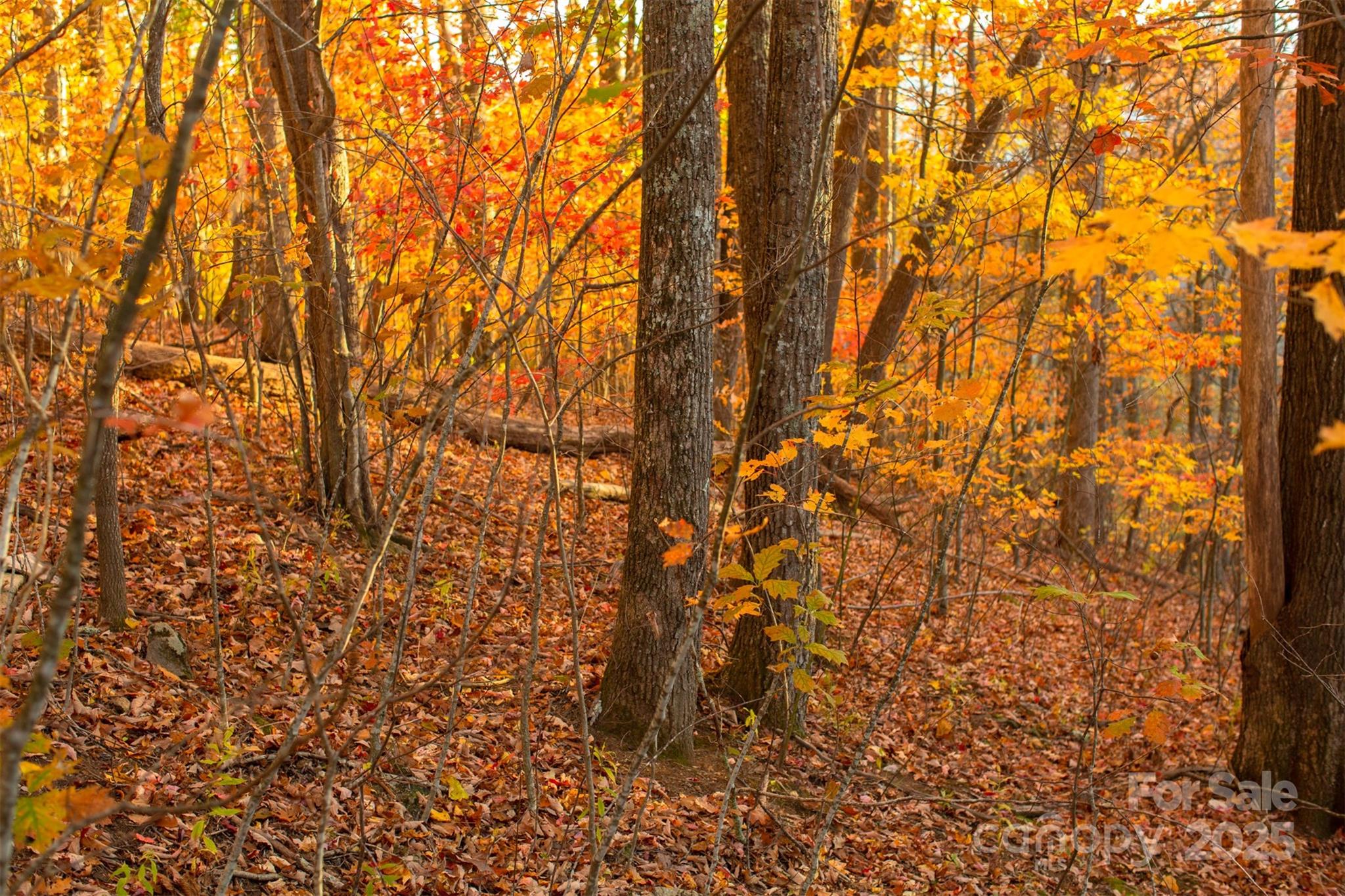 0 Wesley Creek Road Unit: 1 and #2