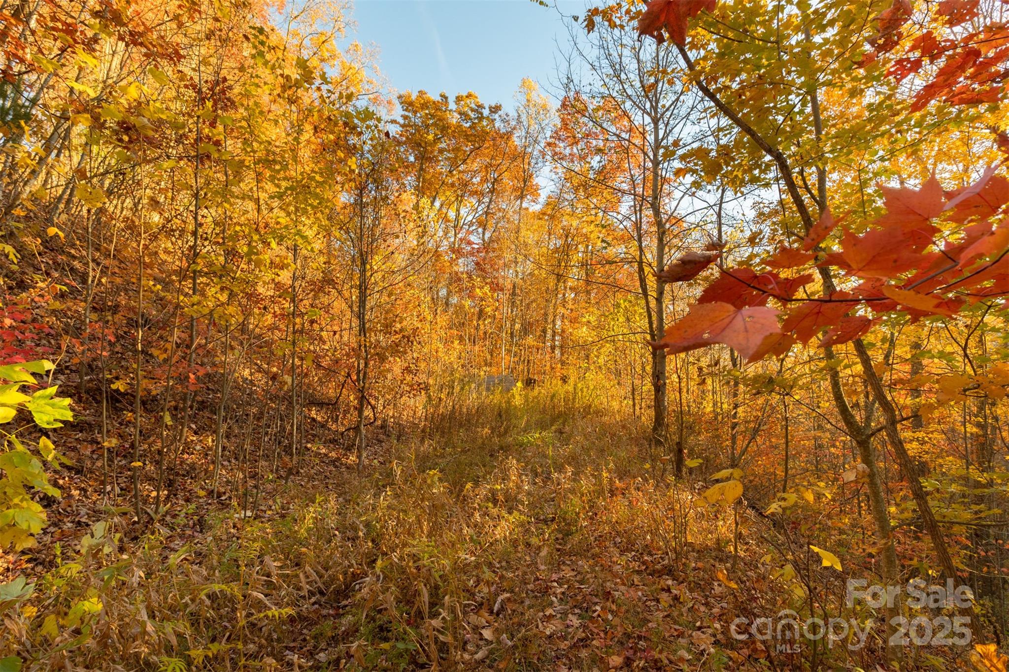 0 Wesley Creek Road Unit: 1 and #2