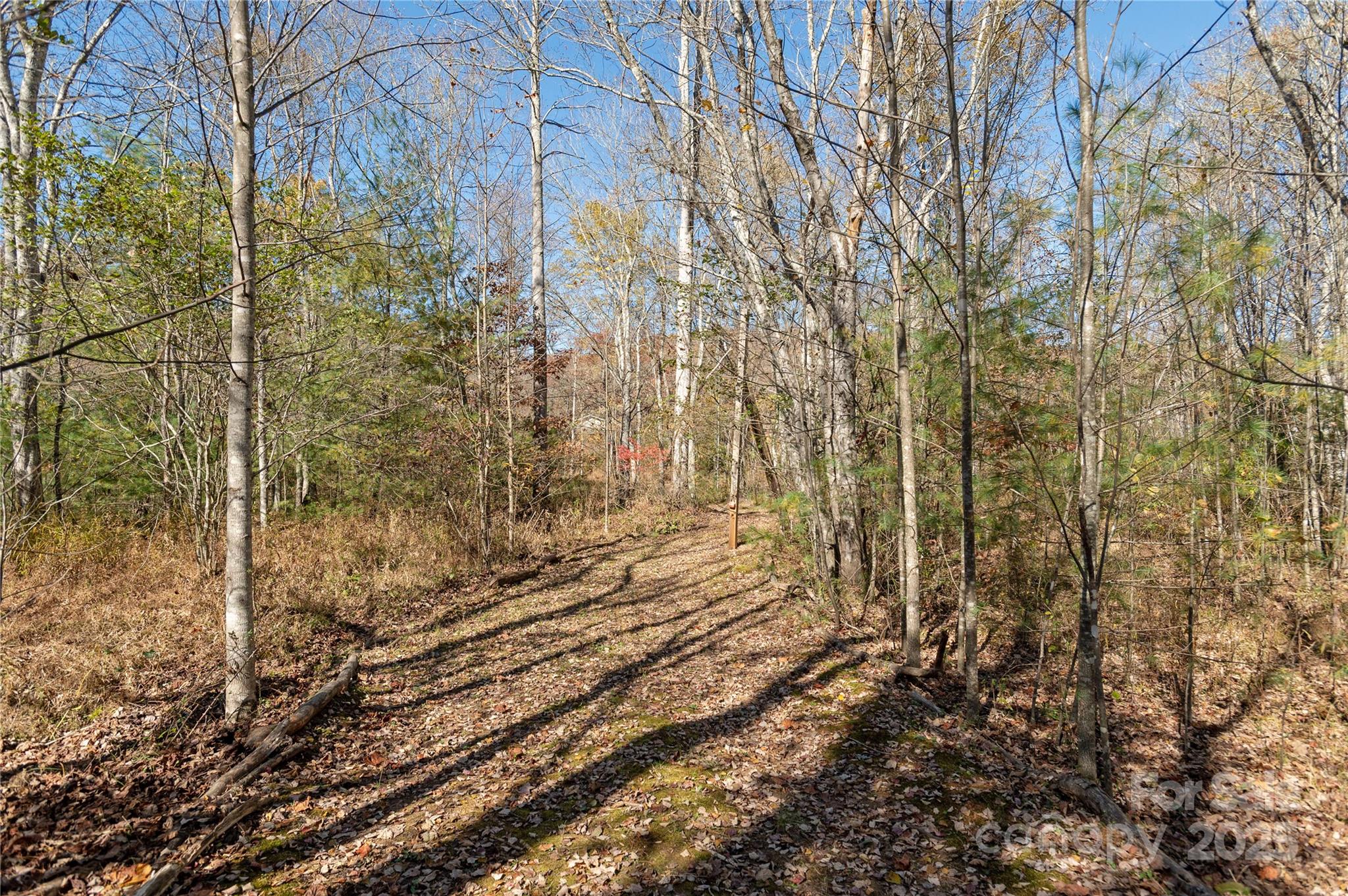 2049 Brookside Camp Road