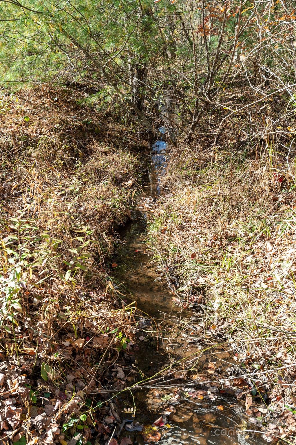 2049 Brookside Camp Road