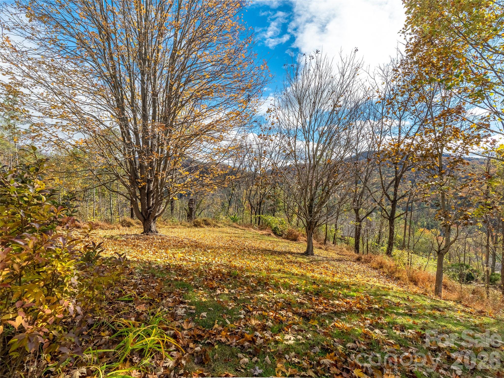 80 Stony Ridge