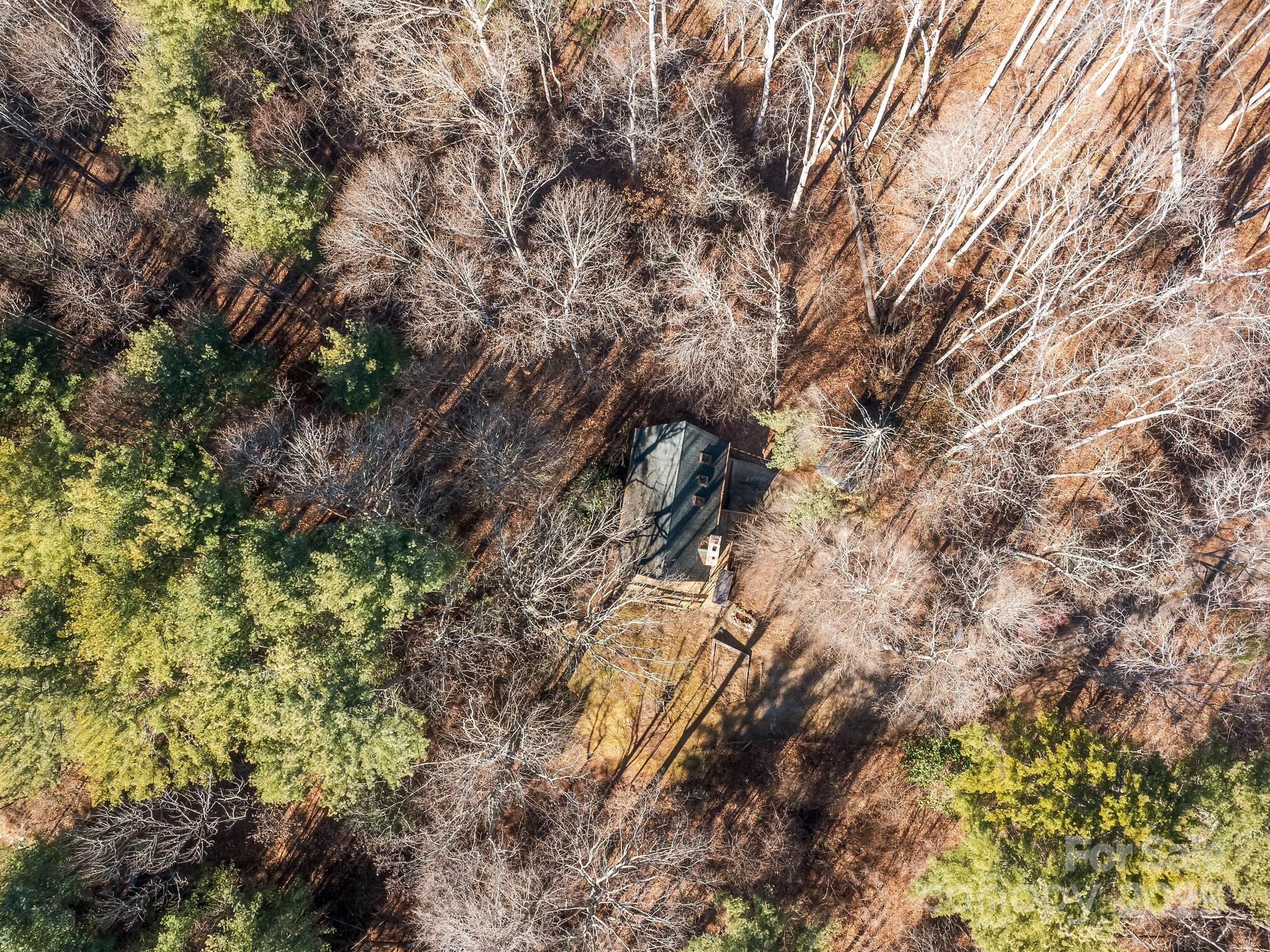 8 Owlet Drive