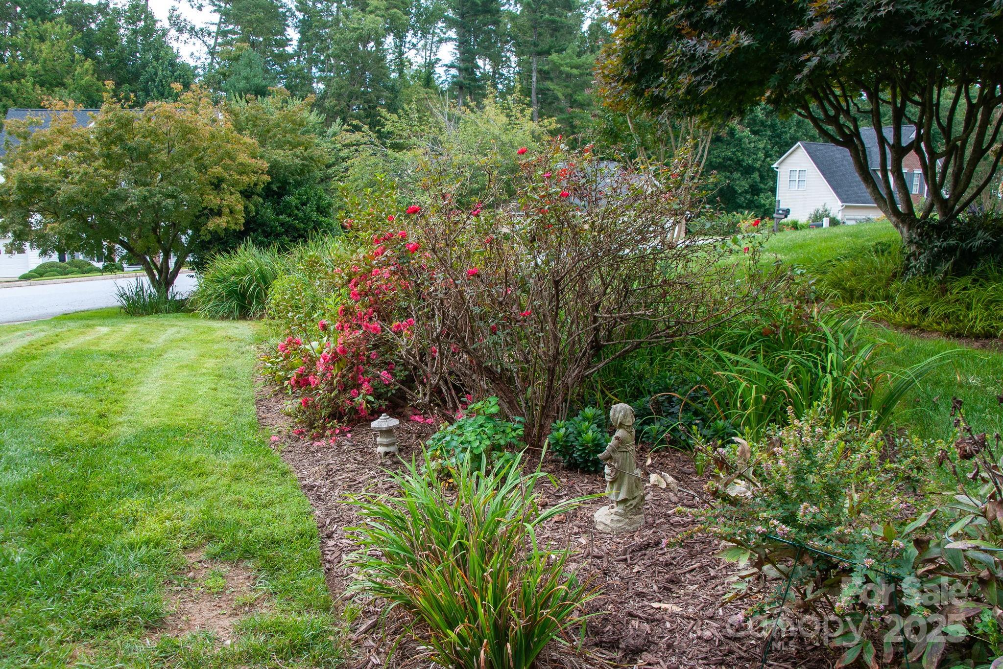 245 Riverbirch Drive