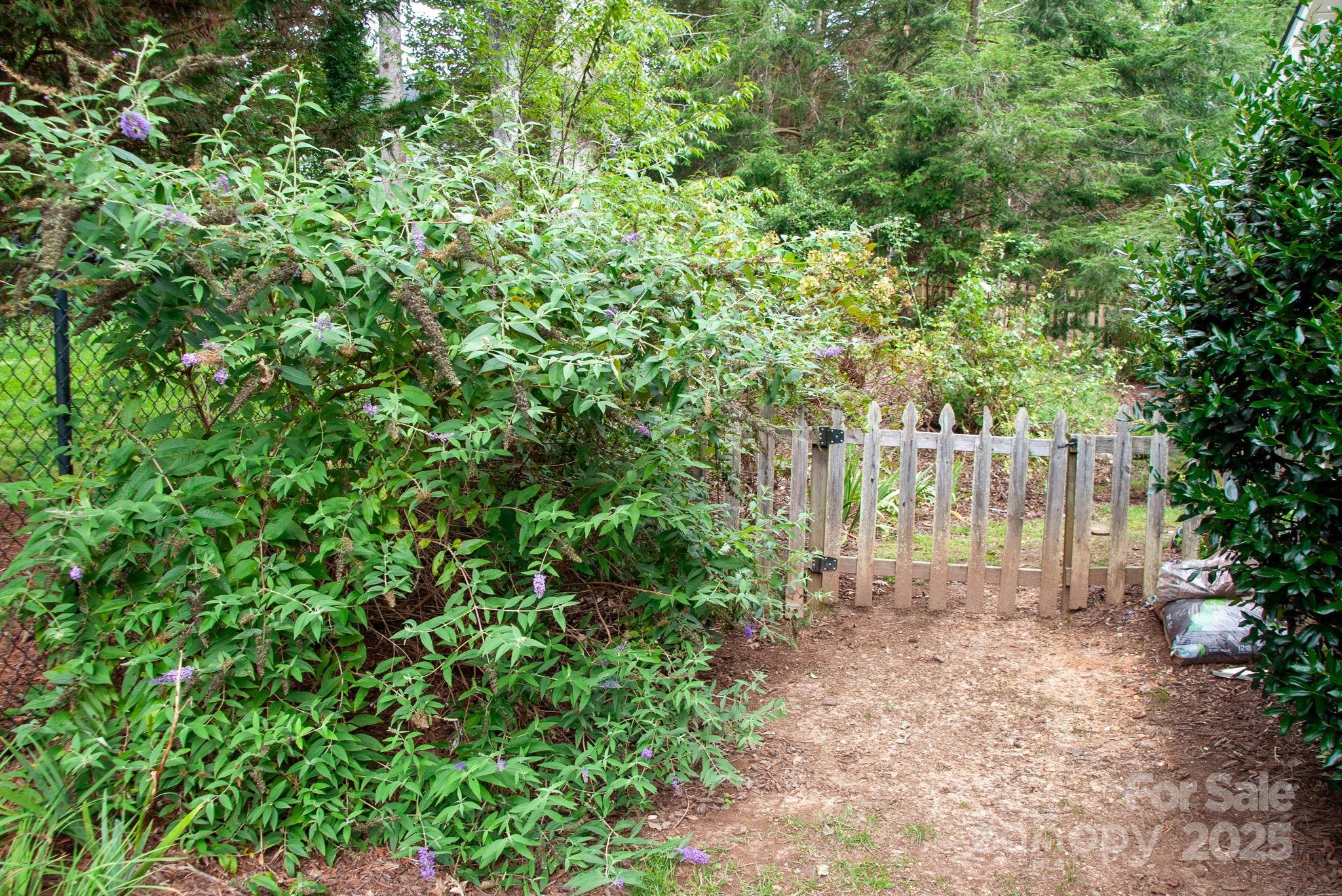 245 Riverbirch Drive