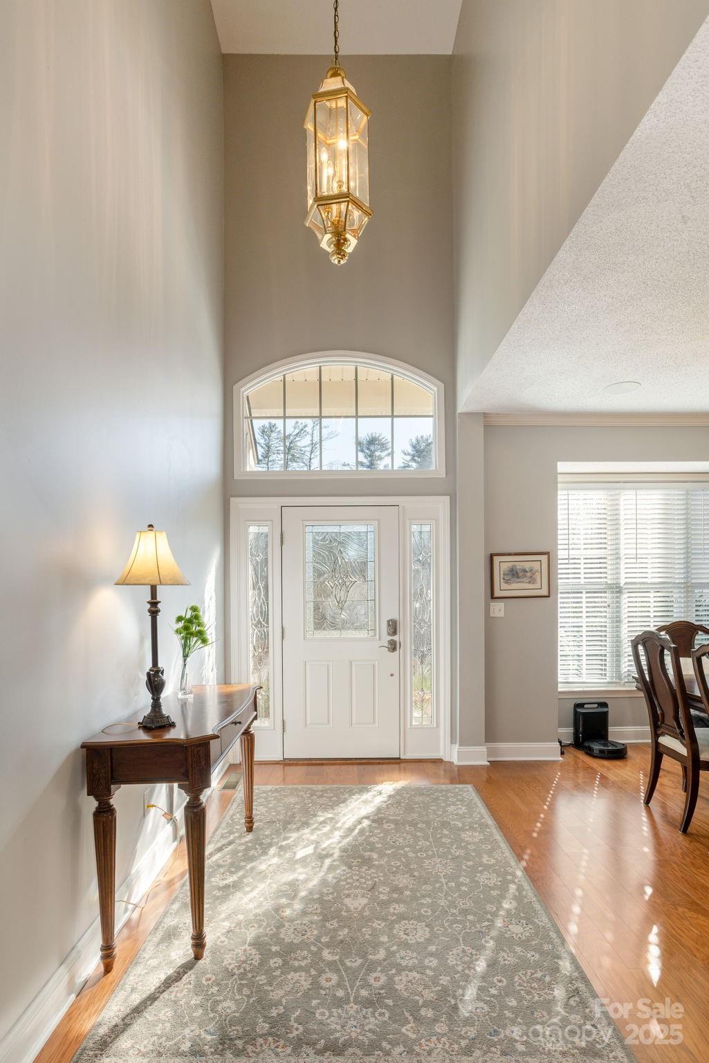 245 Riverbirch Drive