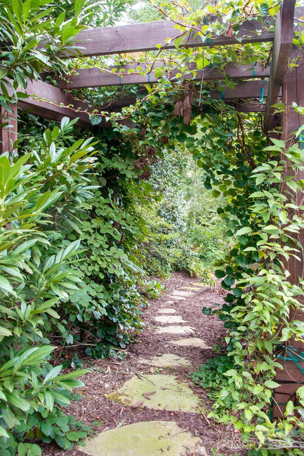 245 Riverbirch Drive