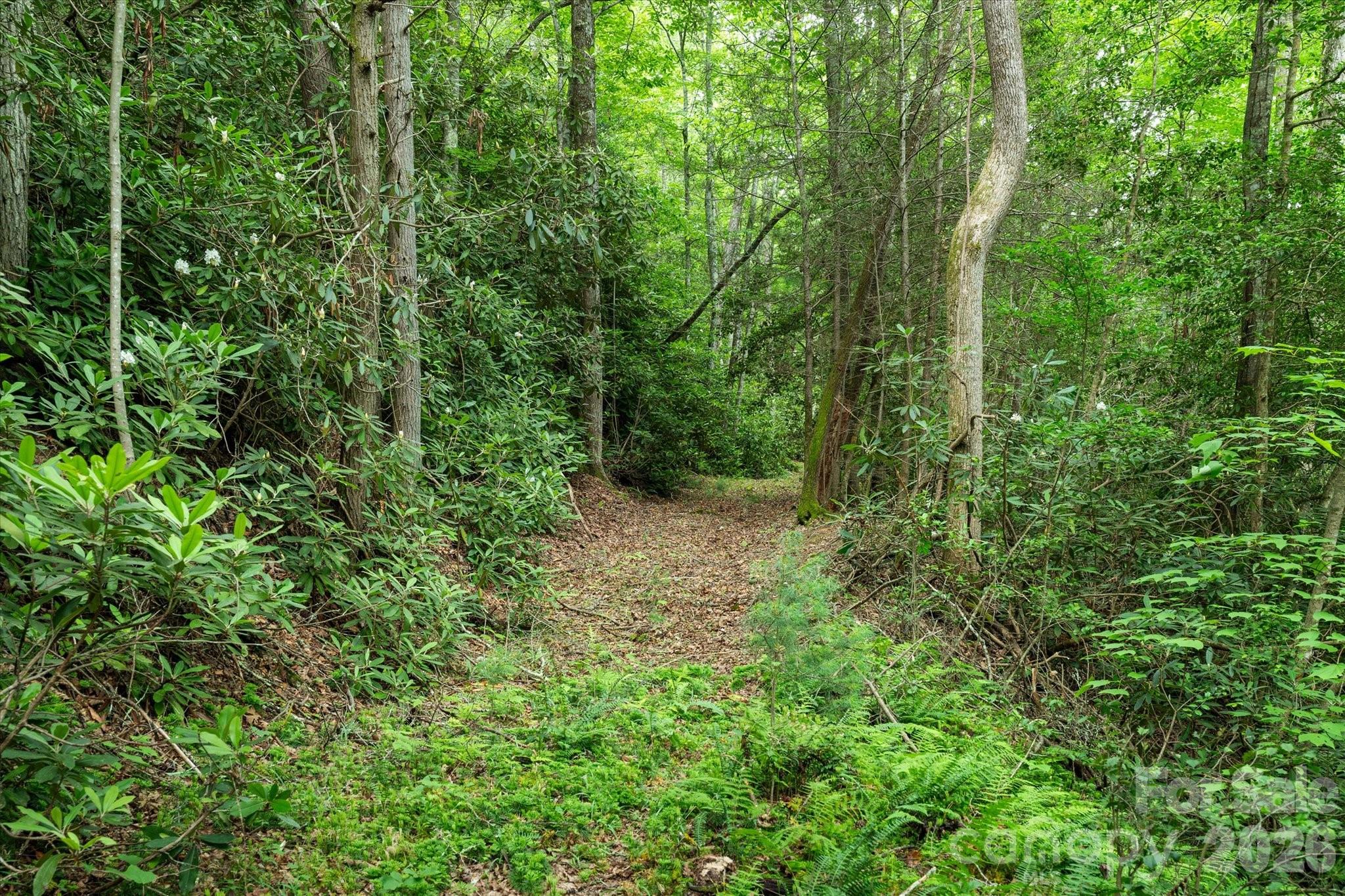 99999 Guntertown Road