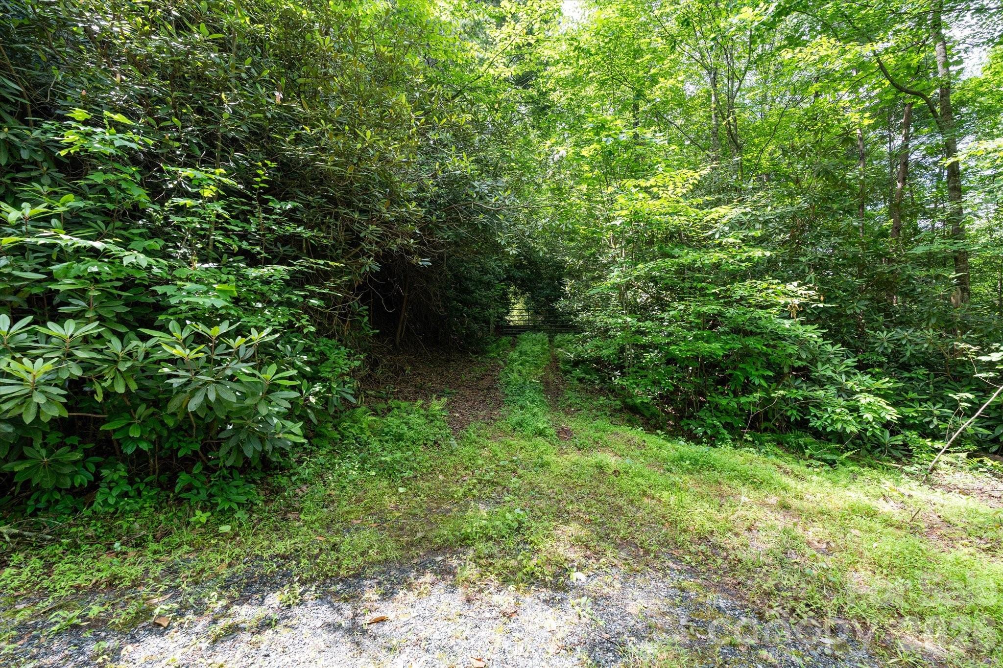 99999 Guntertown Road