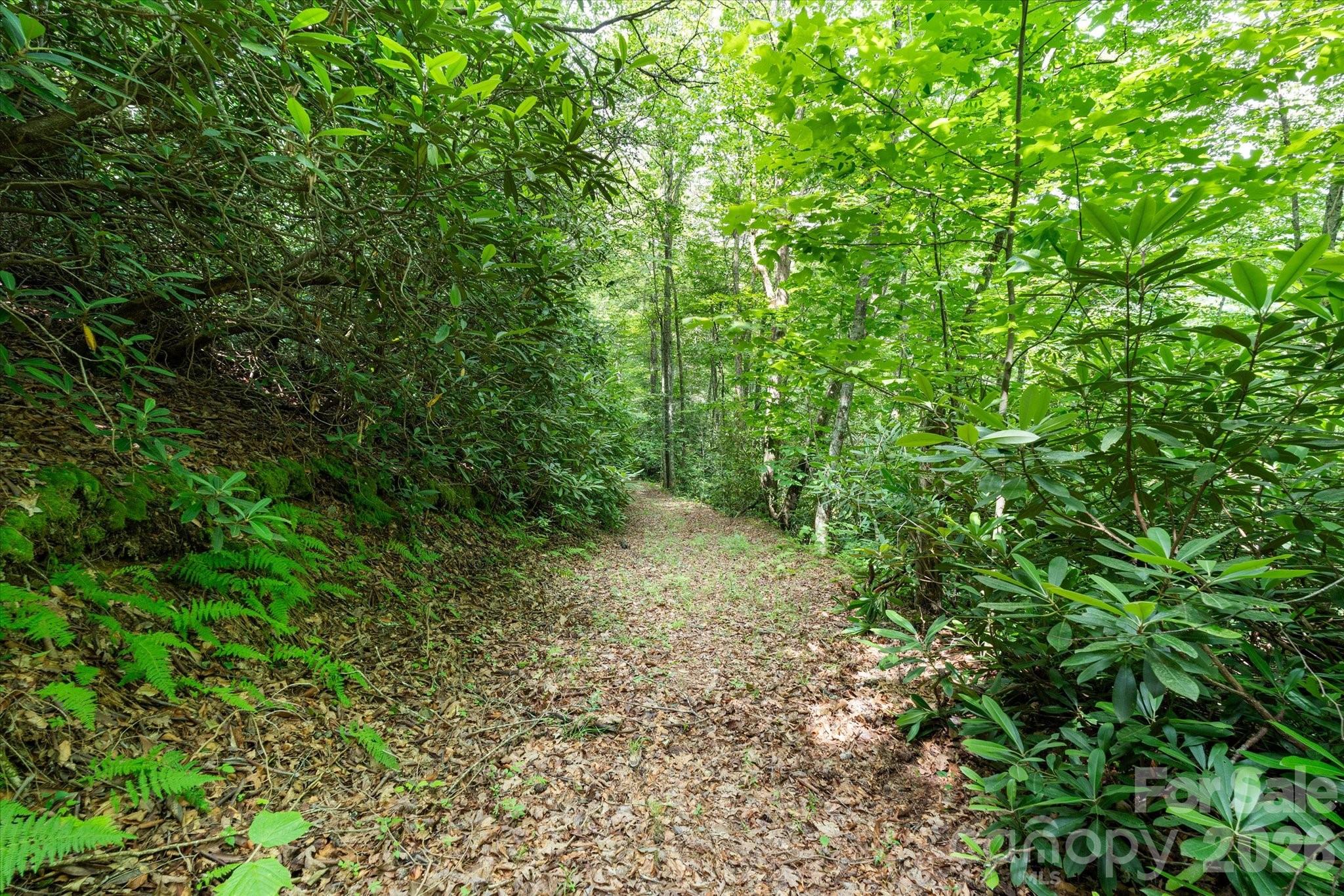 99999 Guntertown Road