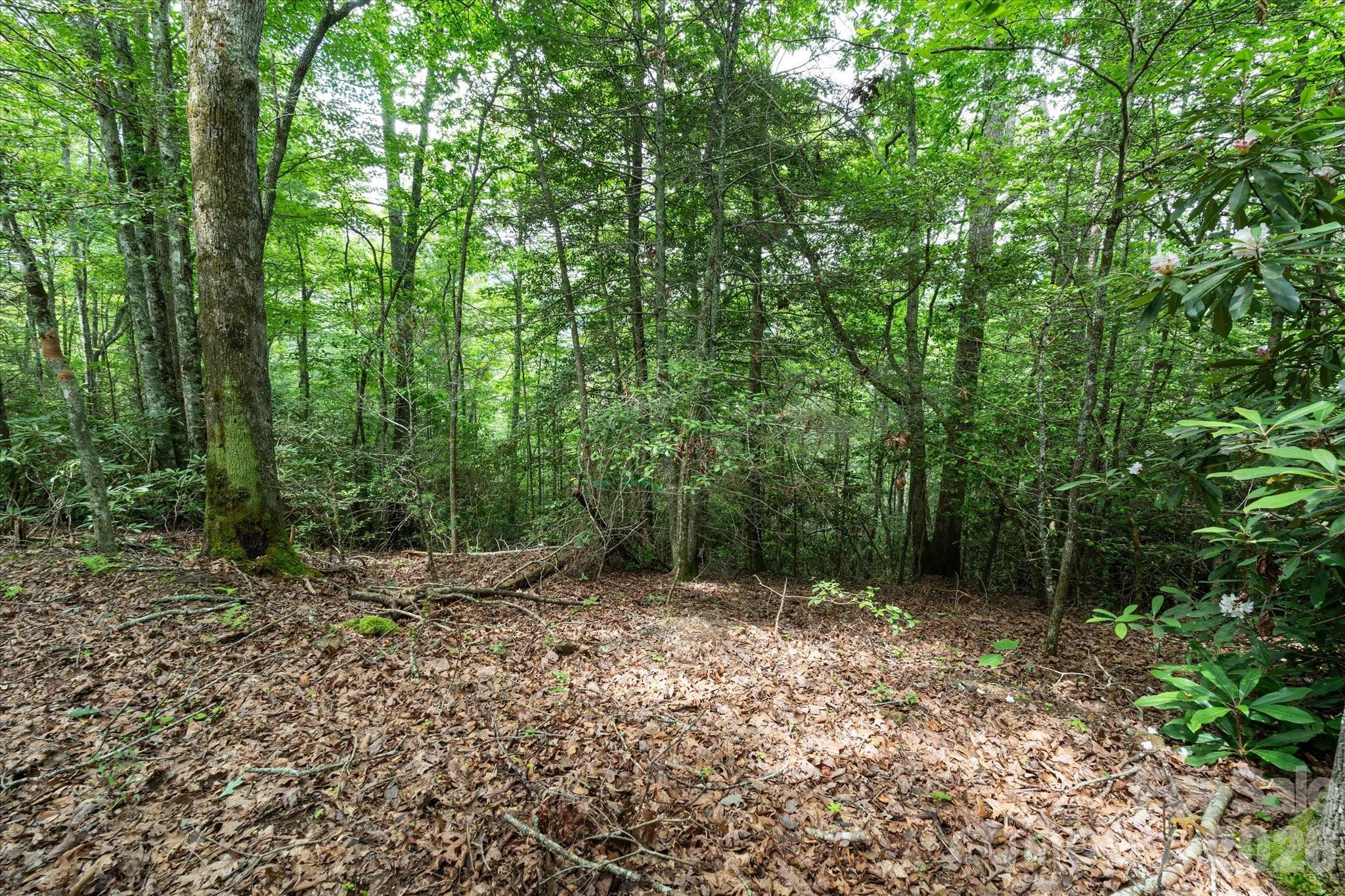 99999 Guntertown Road