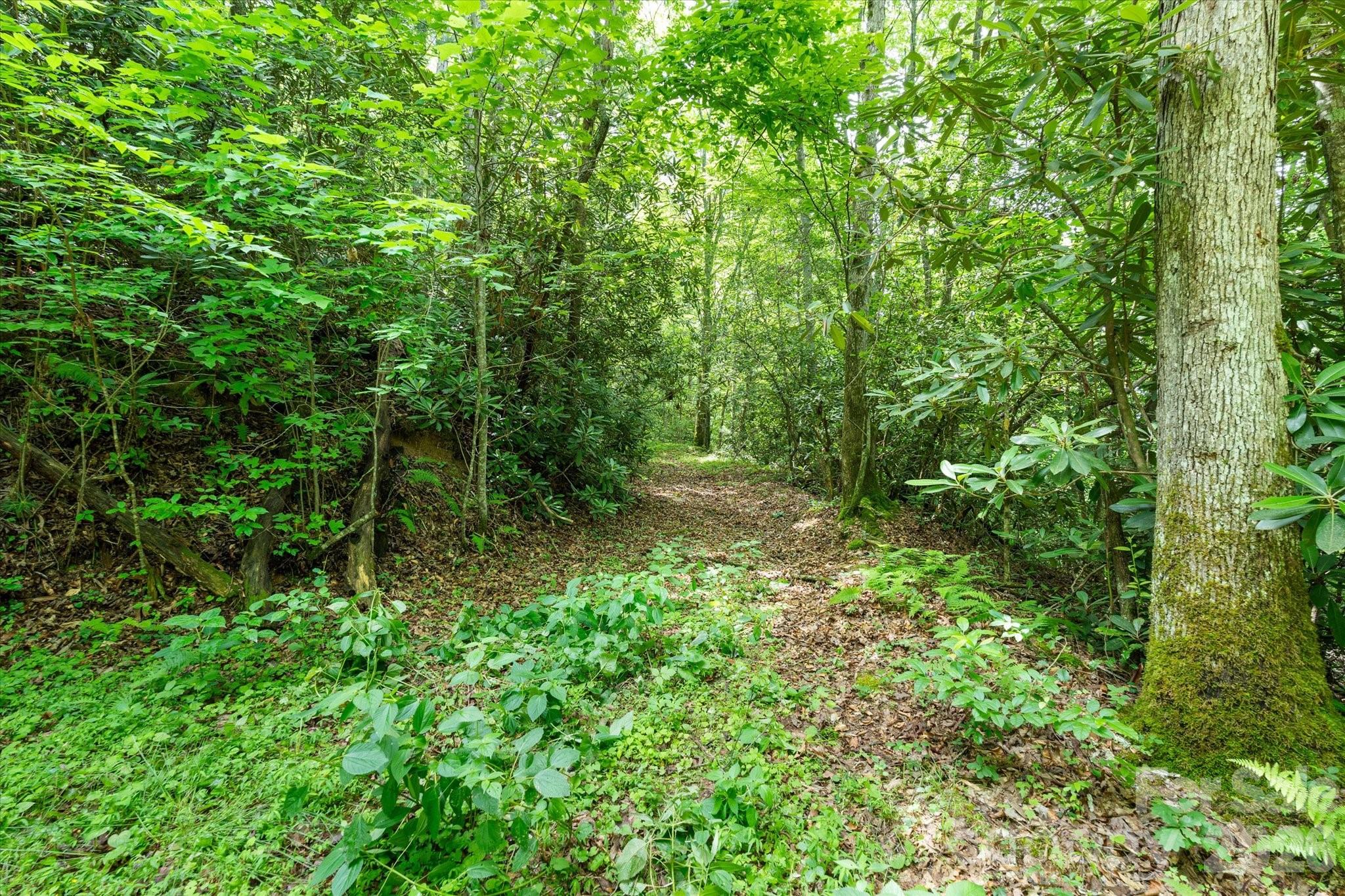 99999 Guntertown Road