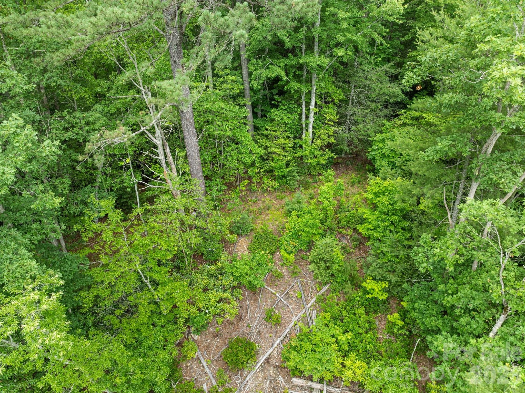 99999 Guntertown Road